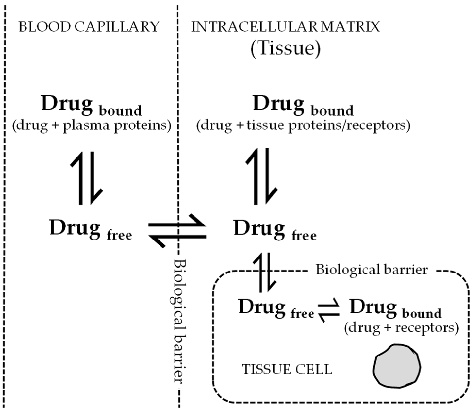 Pharmaceutics 15 01212 g002