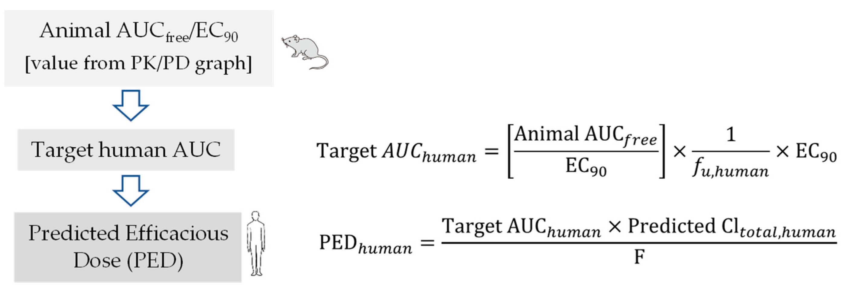 Pharmaceutics 15 01212 g003