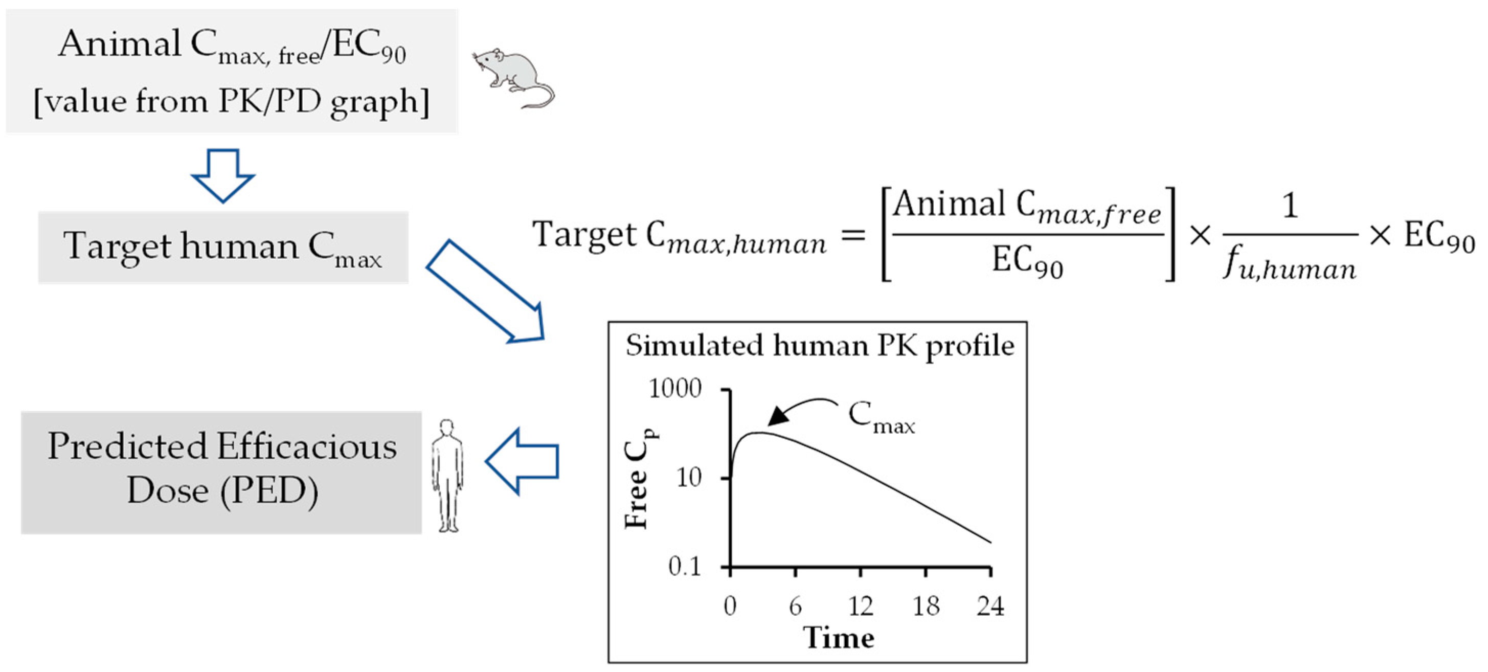 Pharmaceutics 15 01212 g004