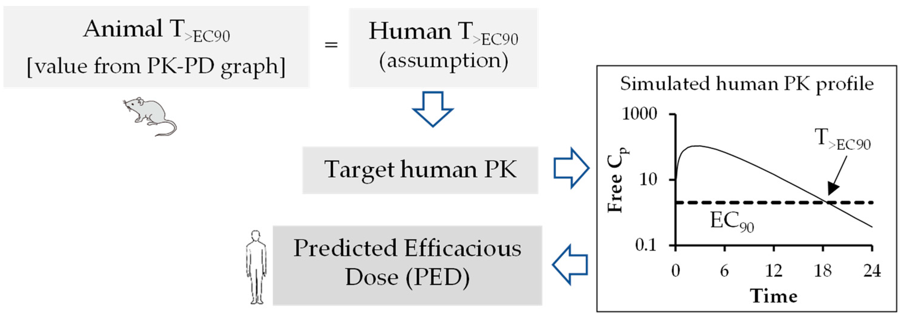 Pharmaceutics 15 01212 g005