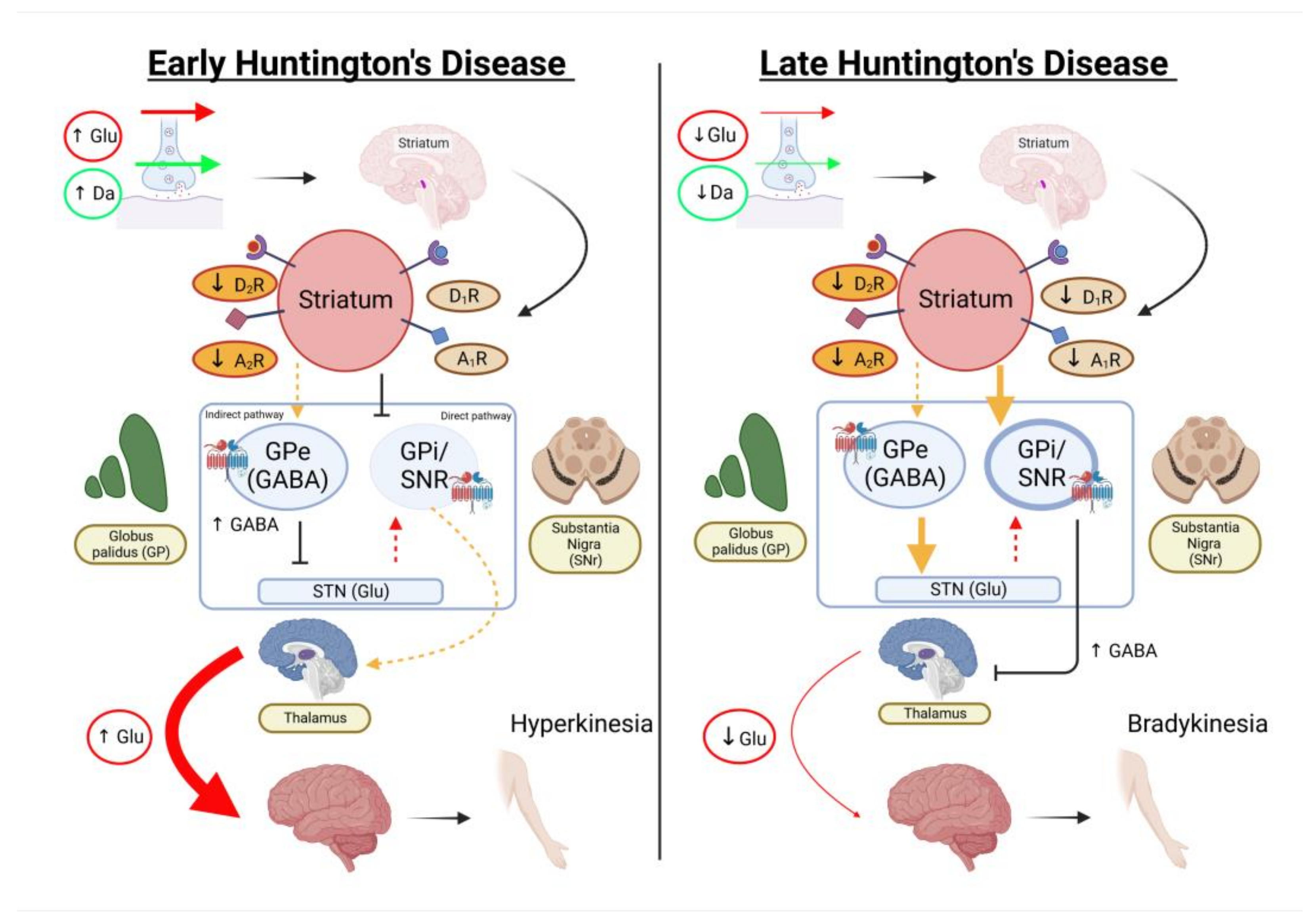 Pharmaceutics 15 01216 g002 Pharmaceutics 15 01216 g002