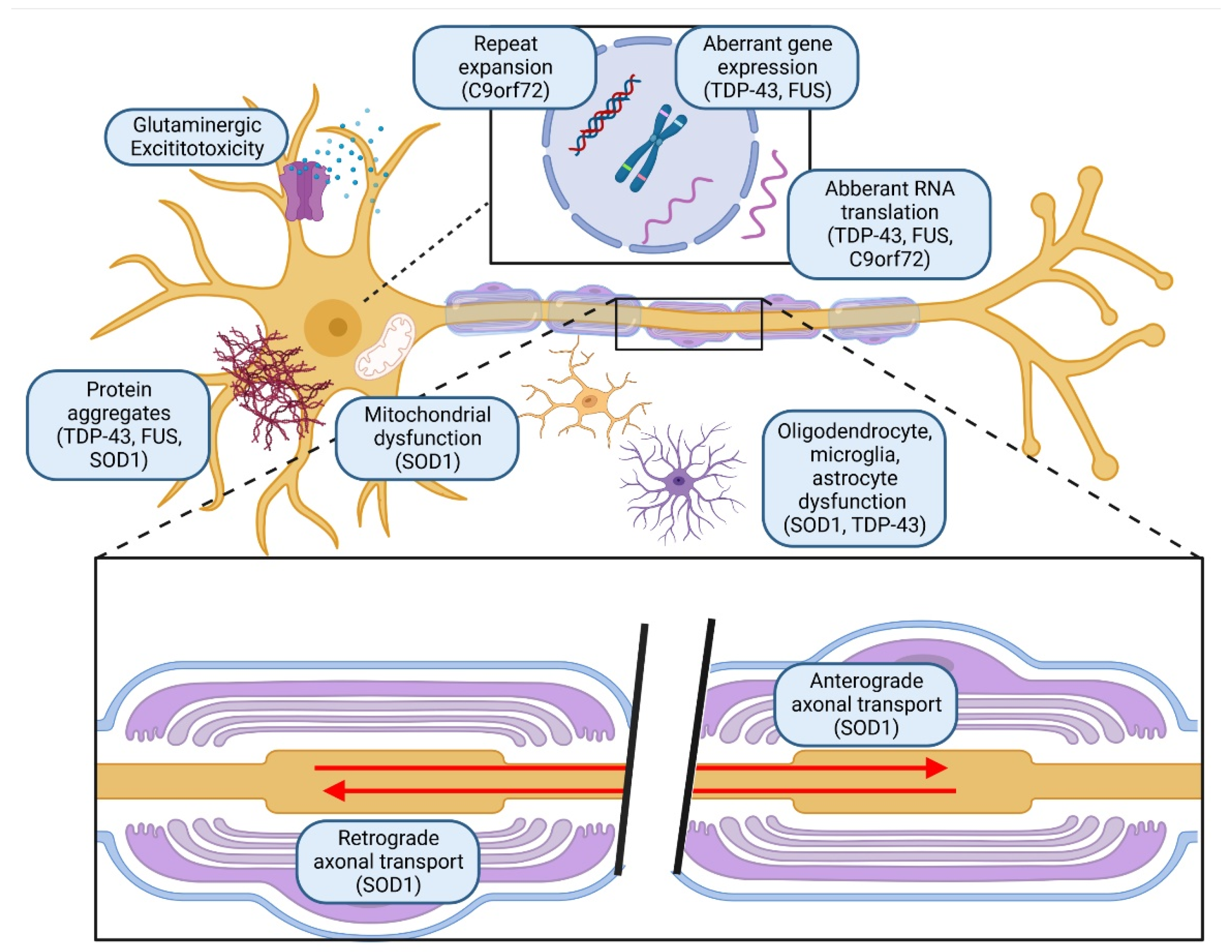 Pharmaceutics 15 01216 g003 Pharmaceutics 15 01216 g003