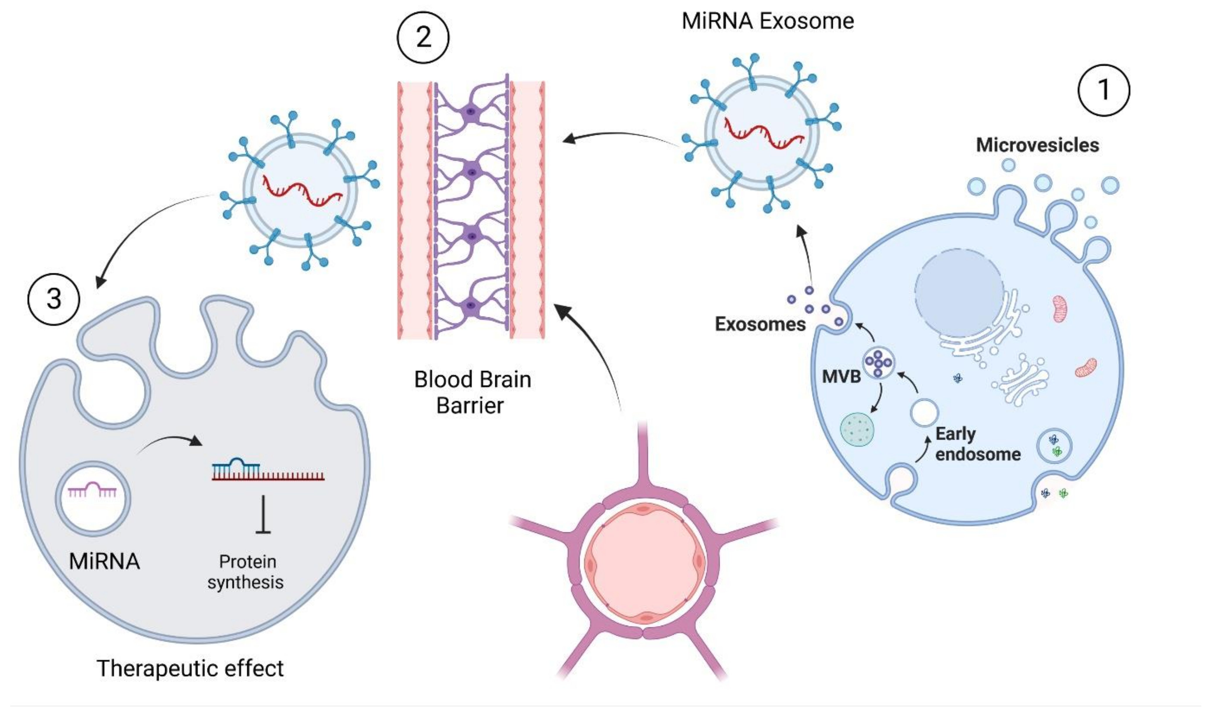 Pharmaceutics 15 01216 g004 Pharmaceutics 15 01216 g004