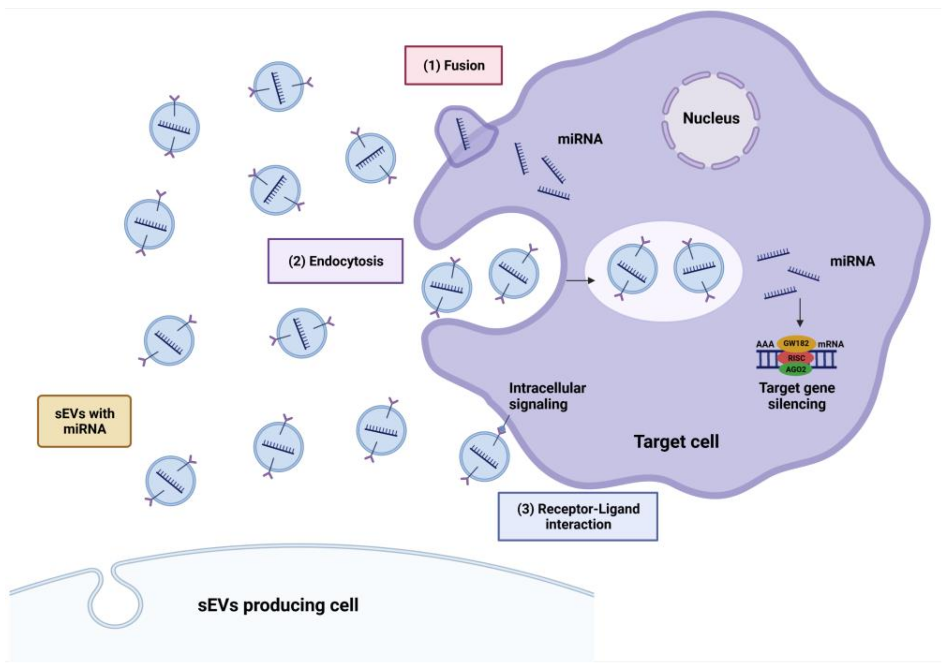 Pharmaceutics 15 01216 g005 Pharmaceutics 15 01216 g005