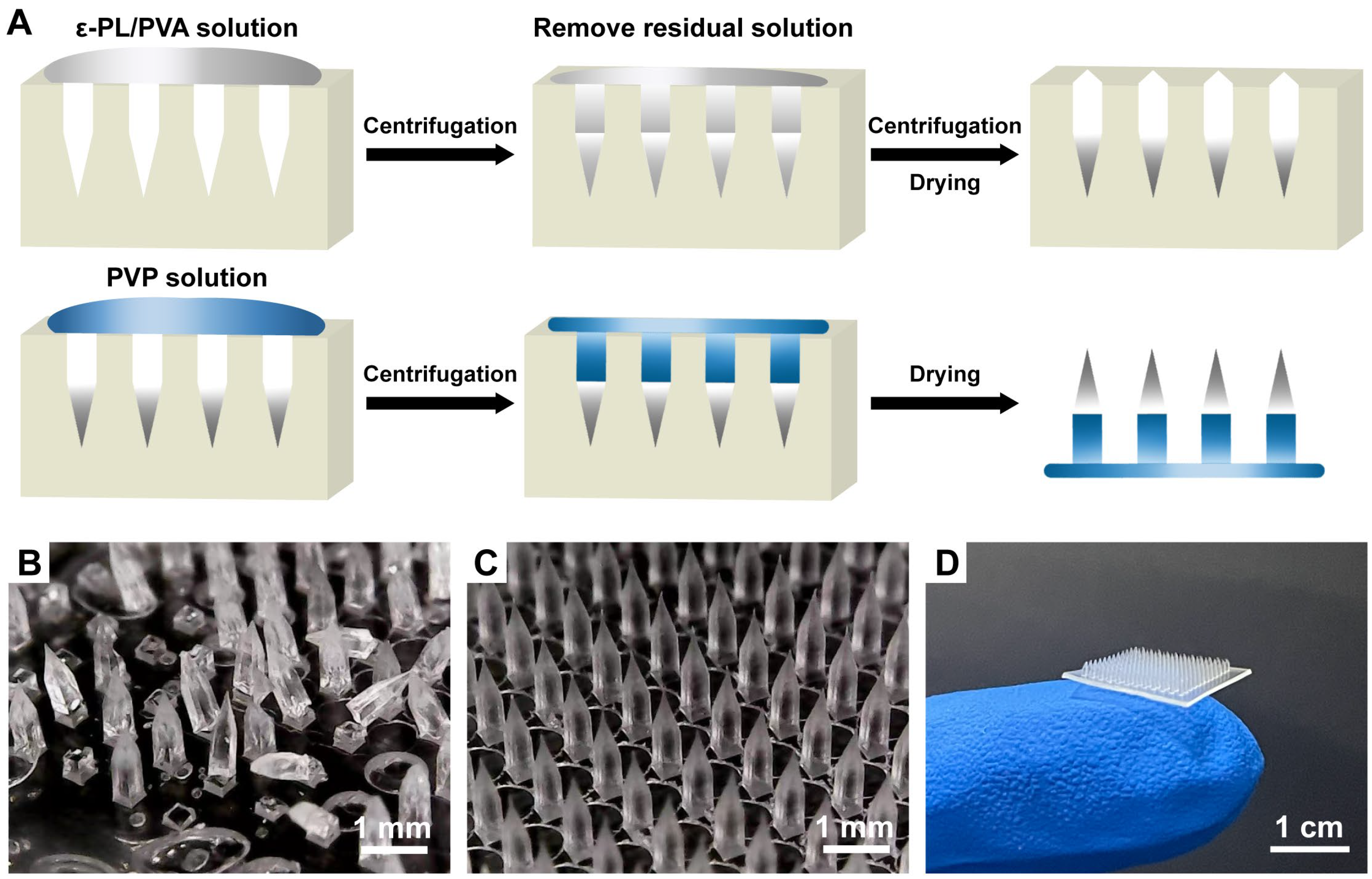 Pharmaceutics 15 01219 g001