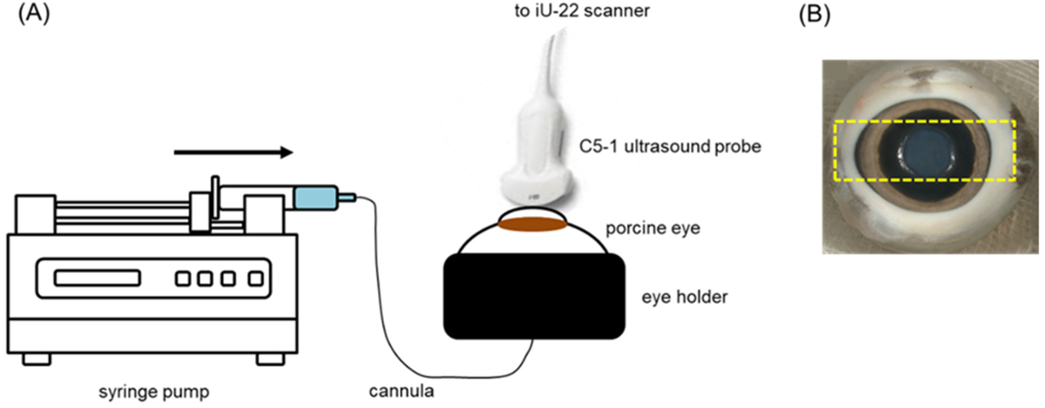 Pharmaceutics 15 01220 g001