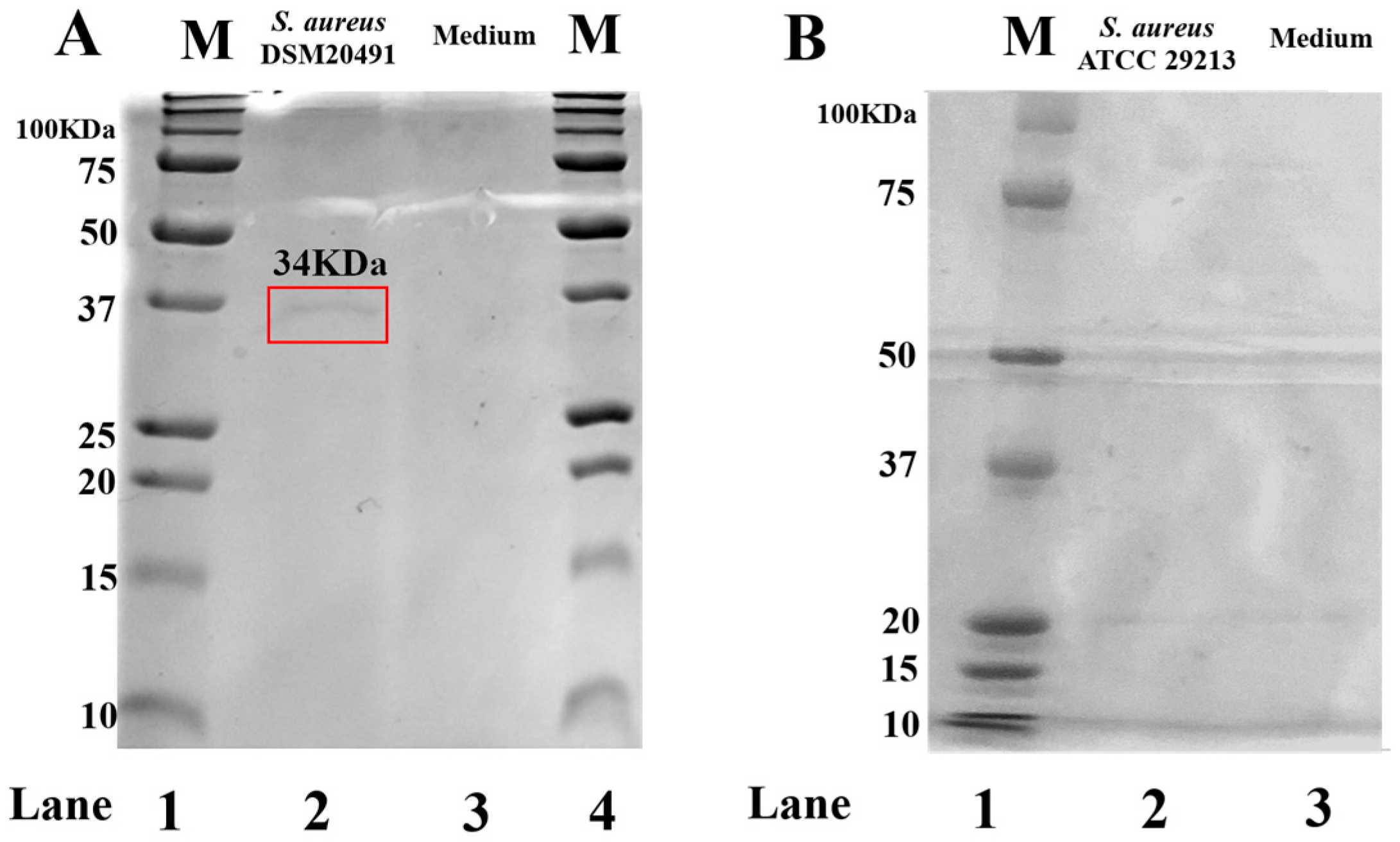 Pharmaceutics 15 01224 g001