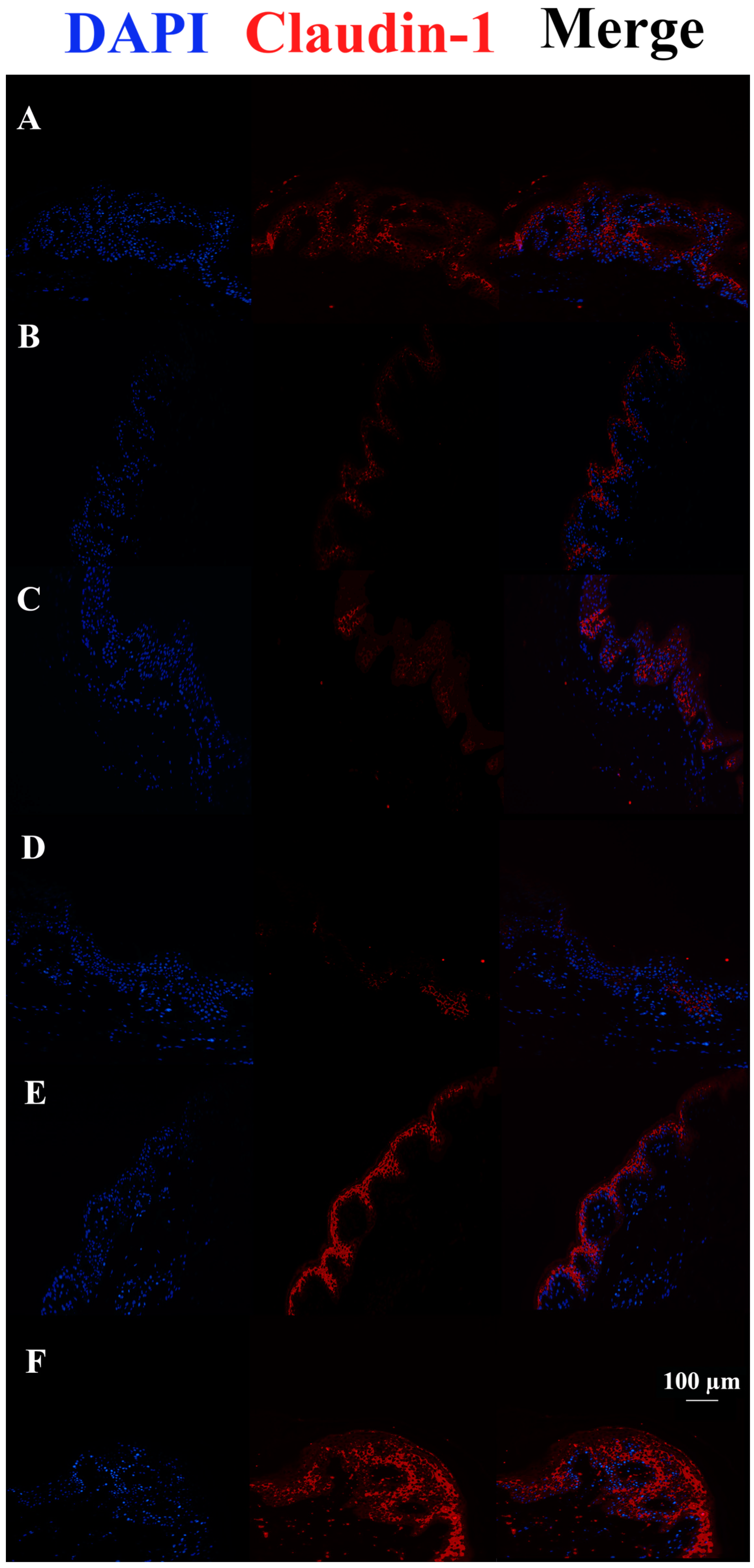 Pharmaceutics 15 01224 g004