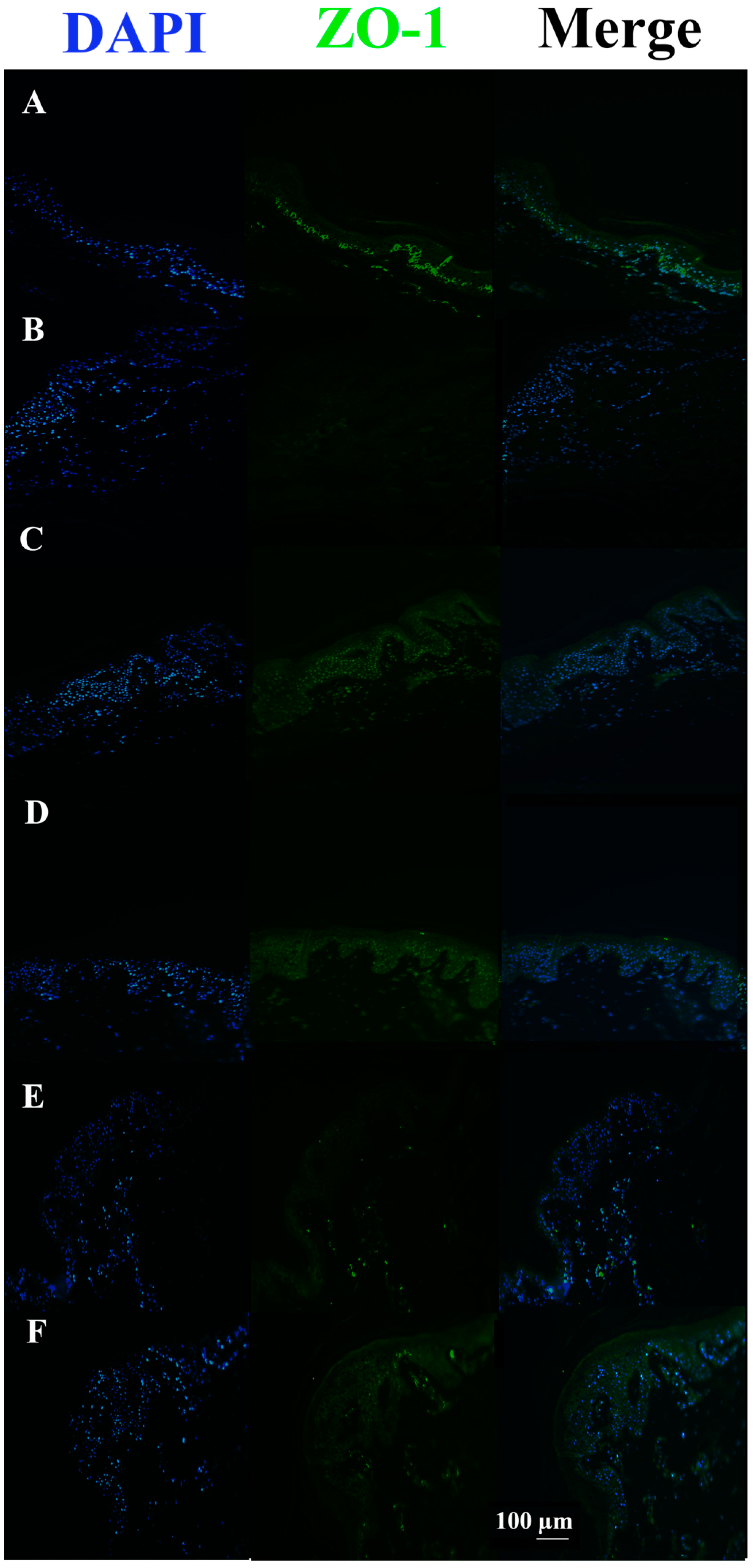 Pharmaceutics 15 01224 g005