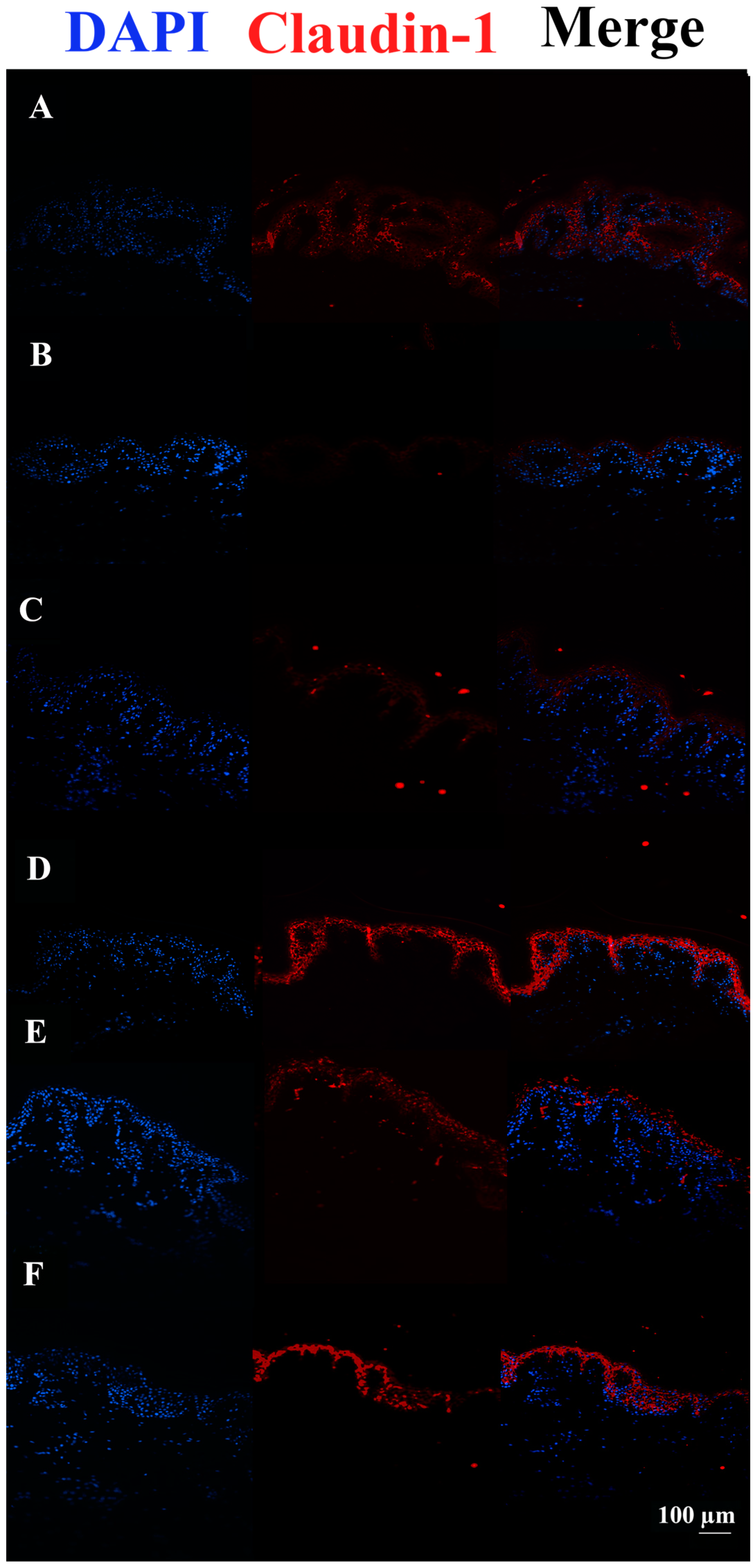 Pharmaceutics 15 01224 g006