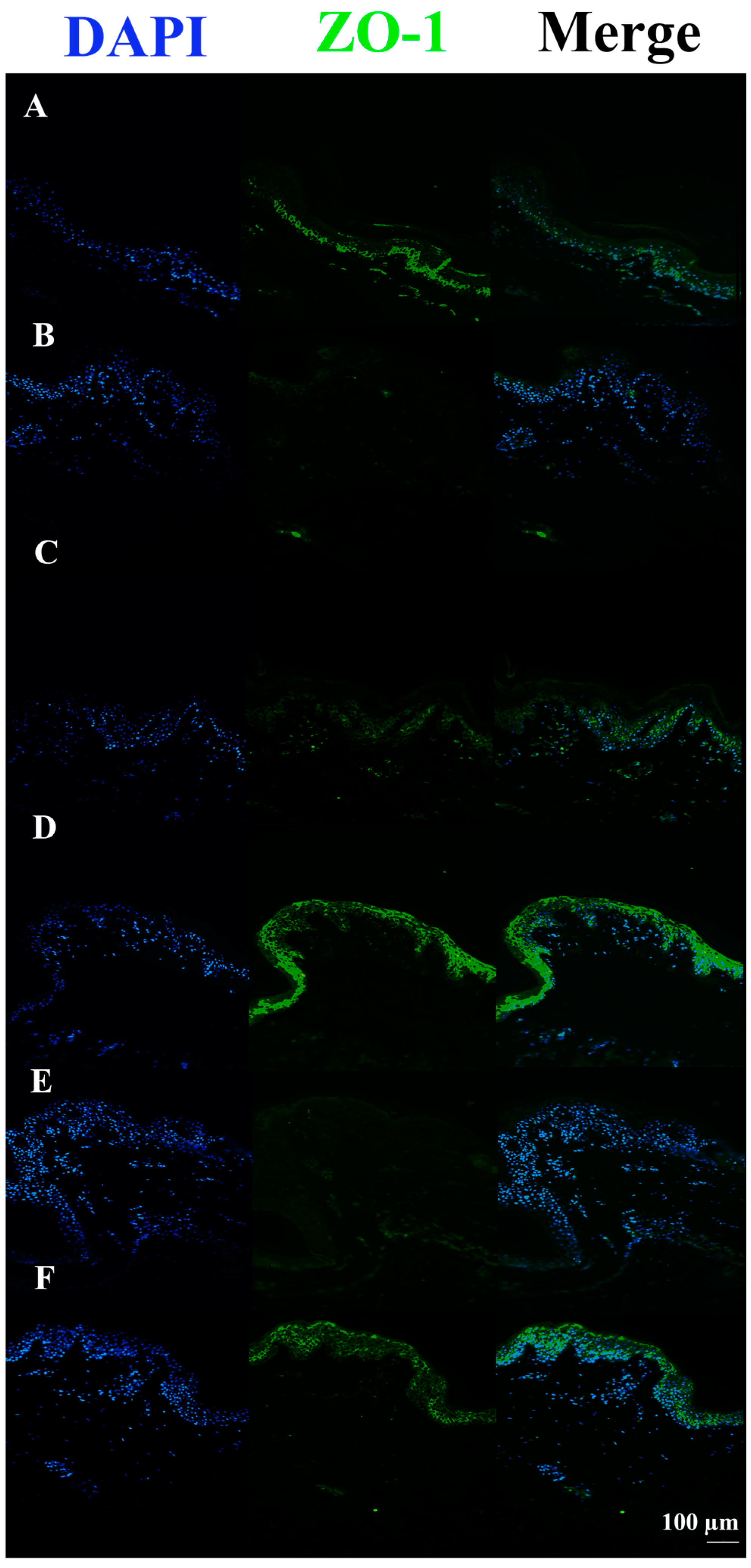 Pharmaceutics 15 01224 g007