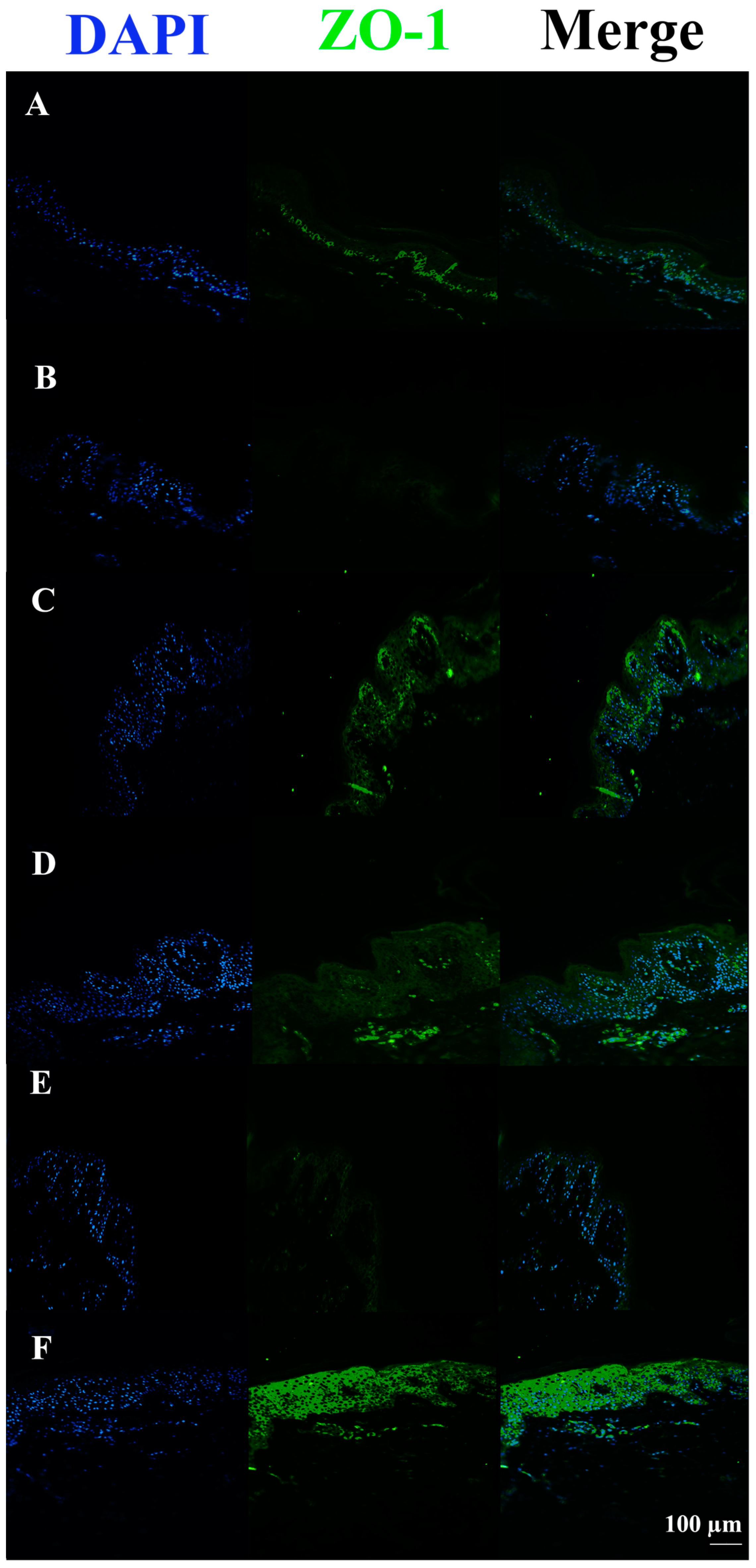 Pharmaceutics 15 01224 g009