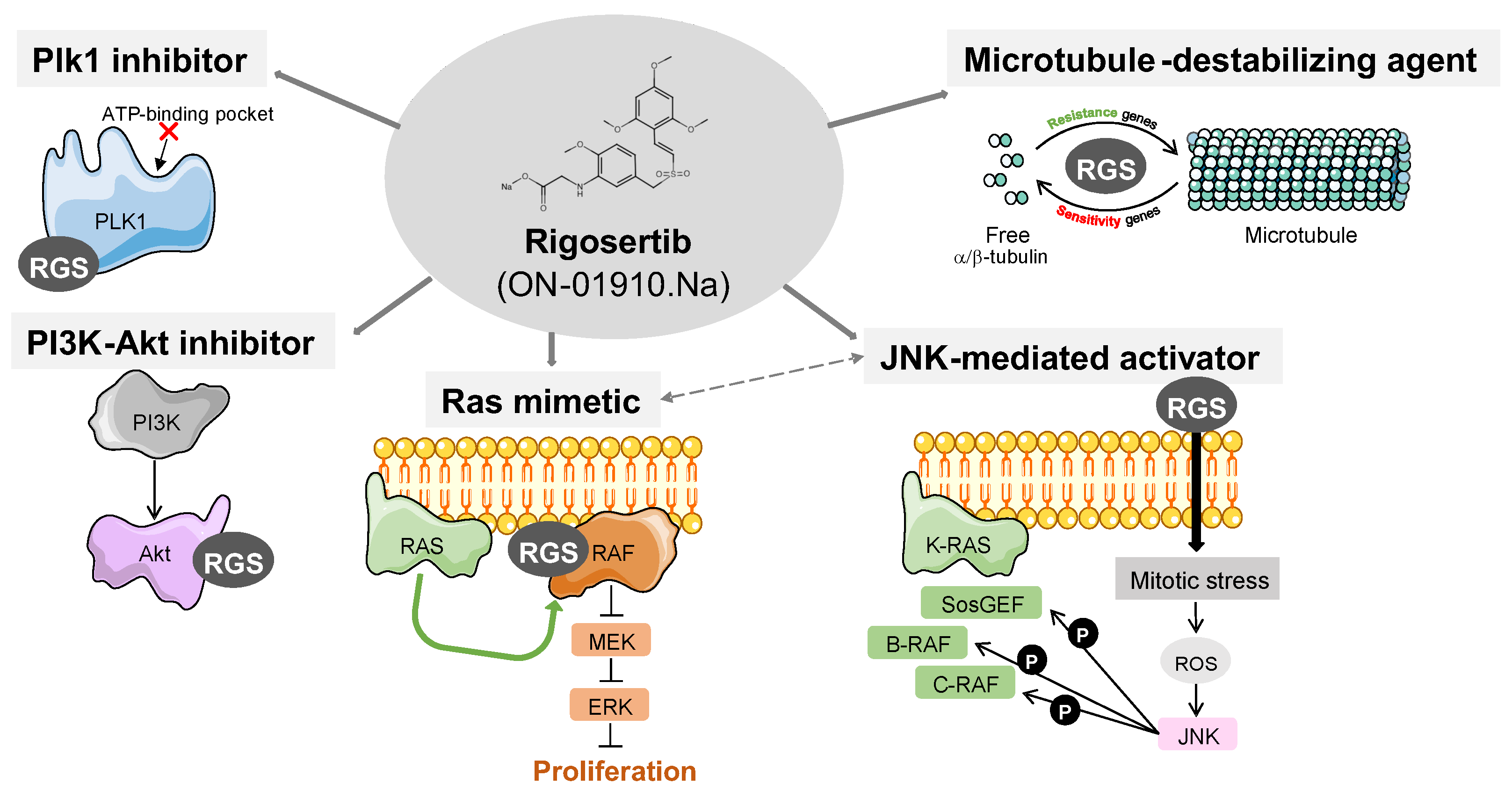 Pharmaceutics 15 01232 g002
