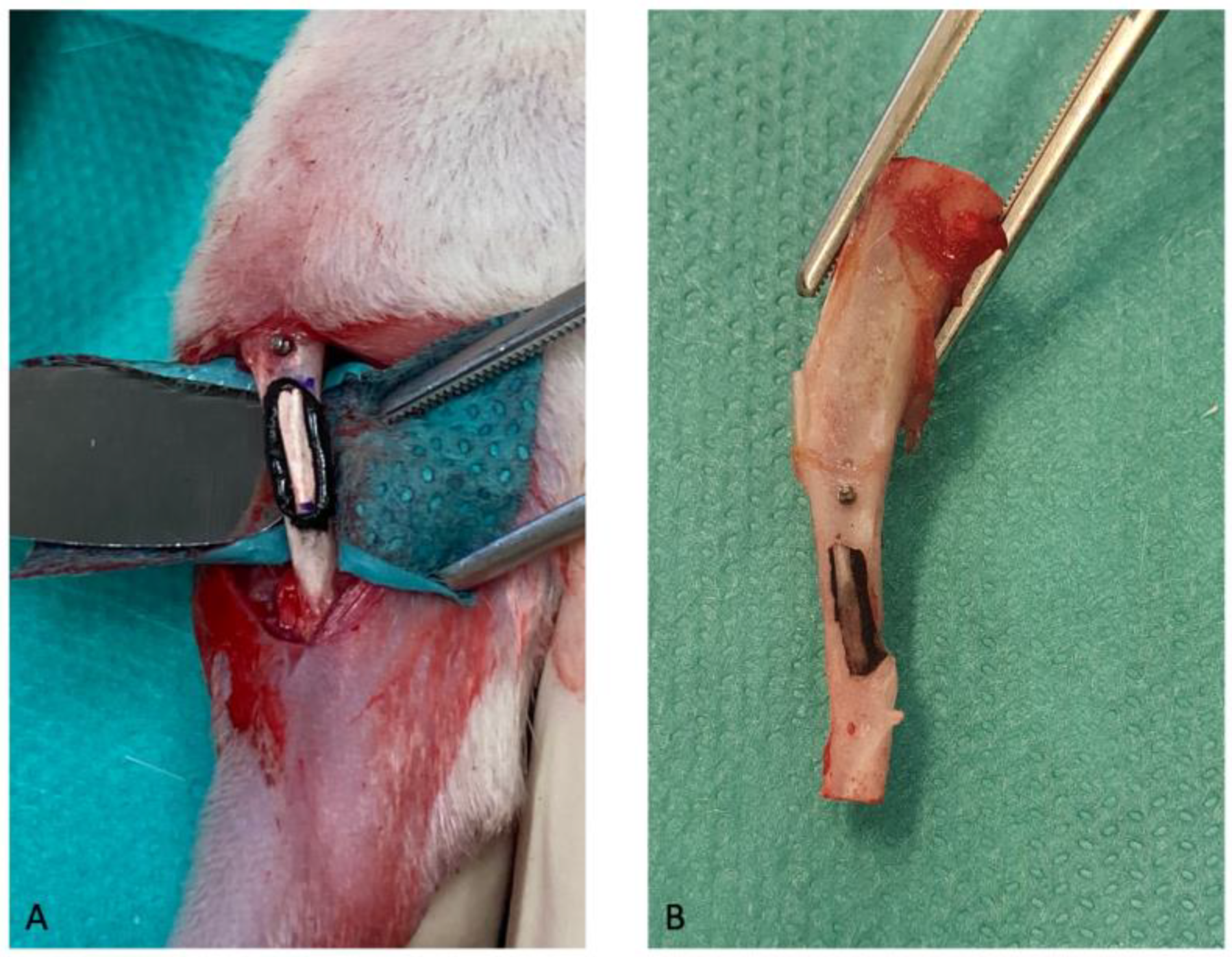 Pharmaceutics 15 01233 g007