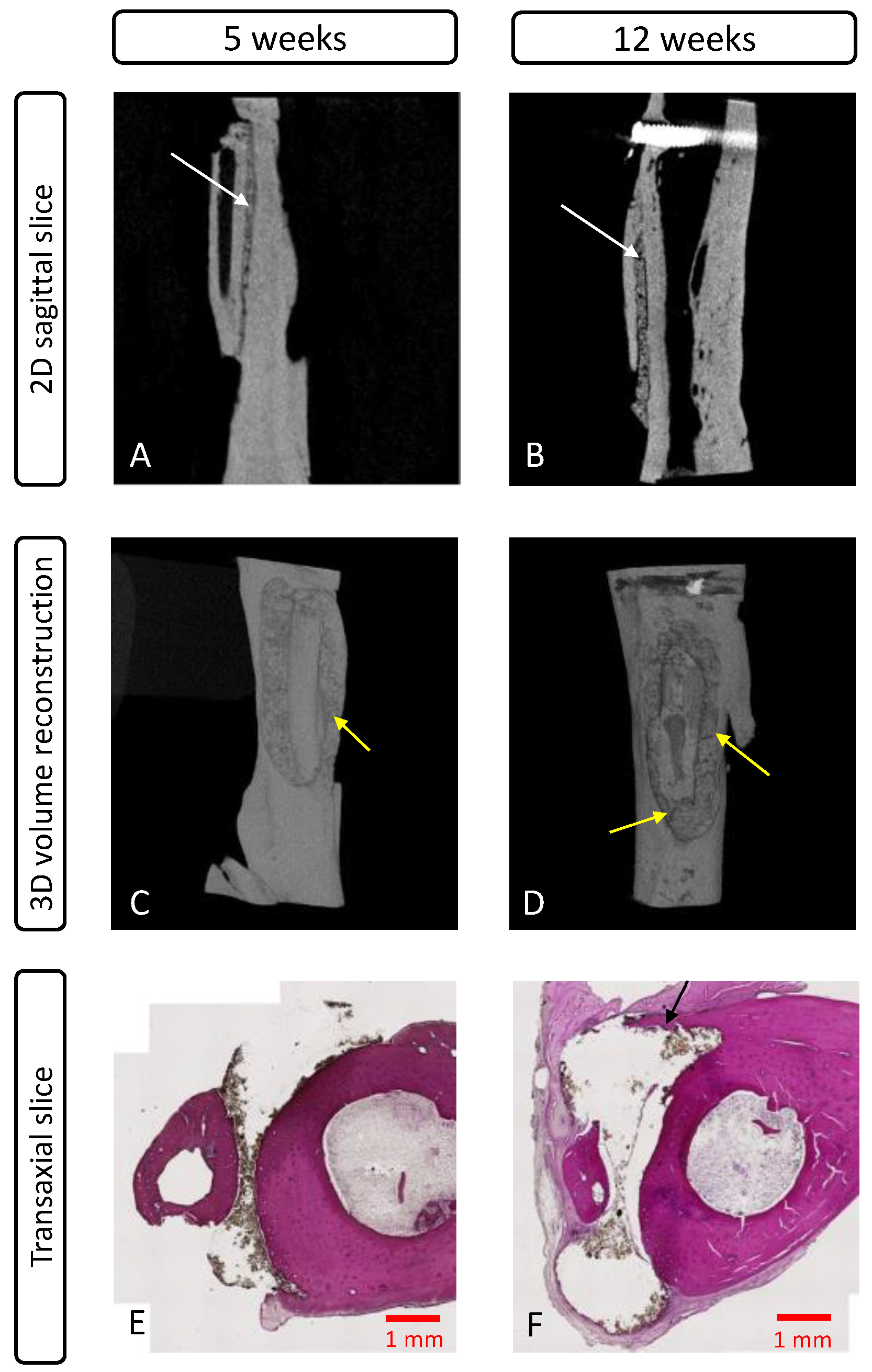 Pharmaceutics 15 01233 g008