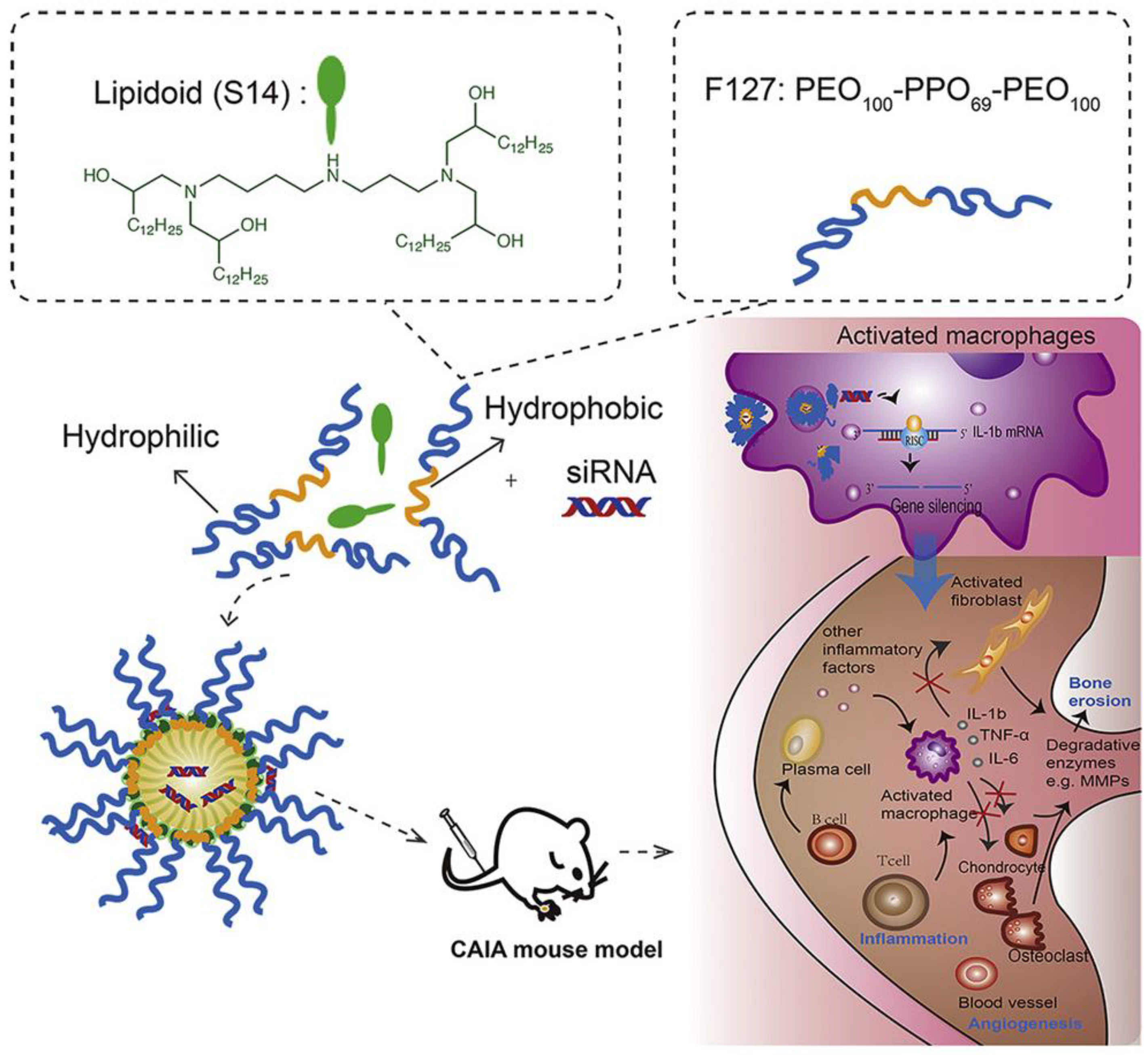Pharmaceutics 15 01237 g001