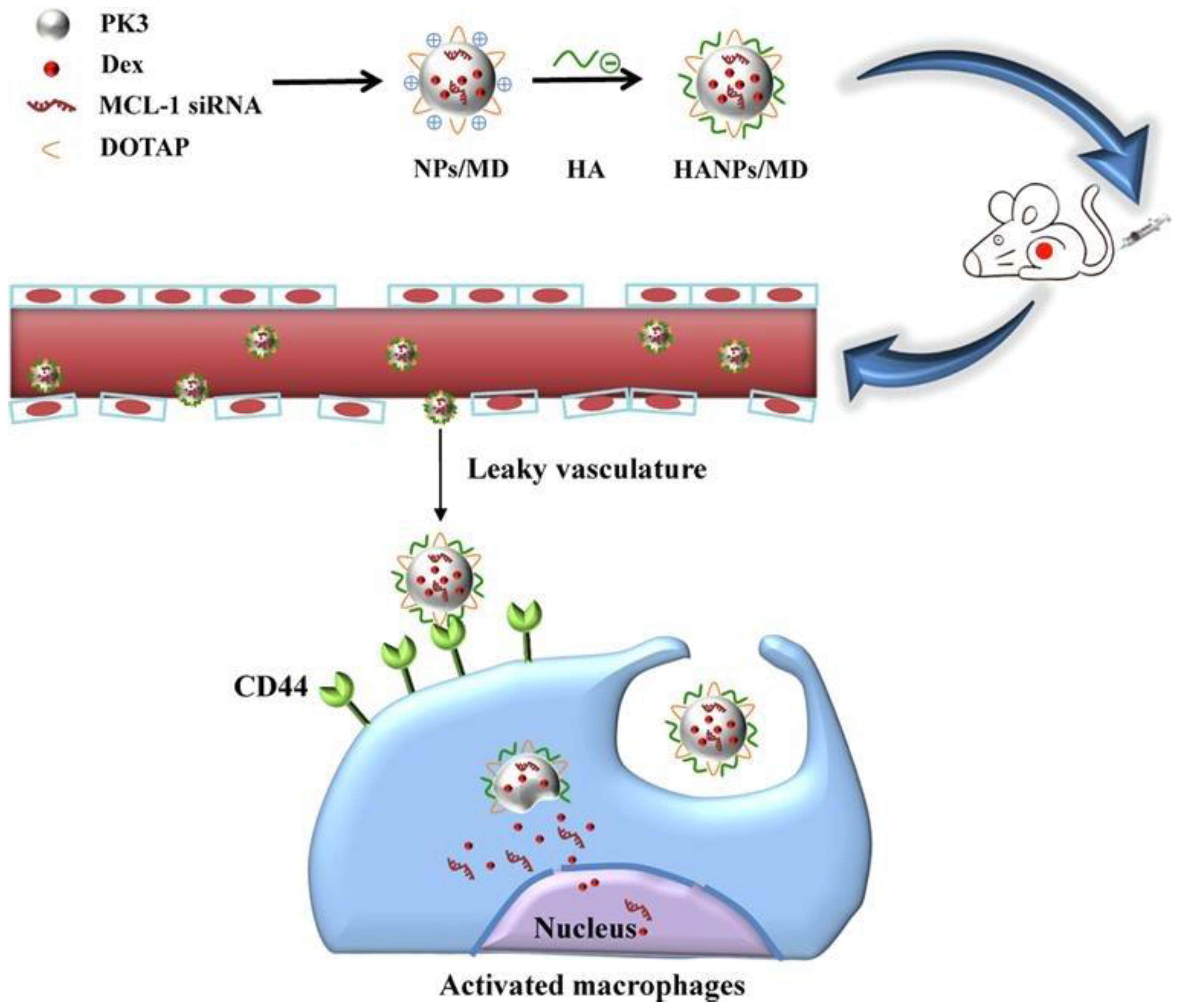 Pharmaceutics 15 01237 g004