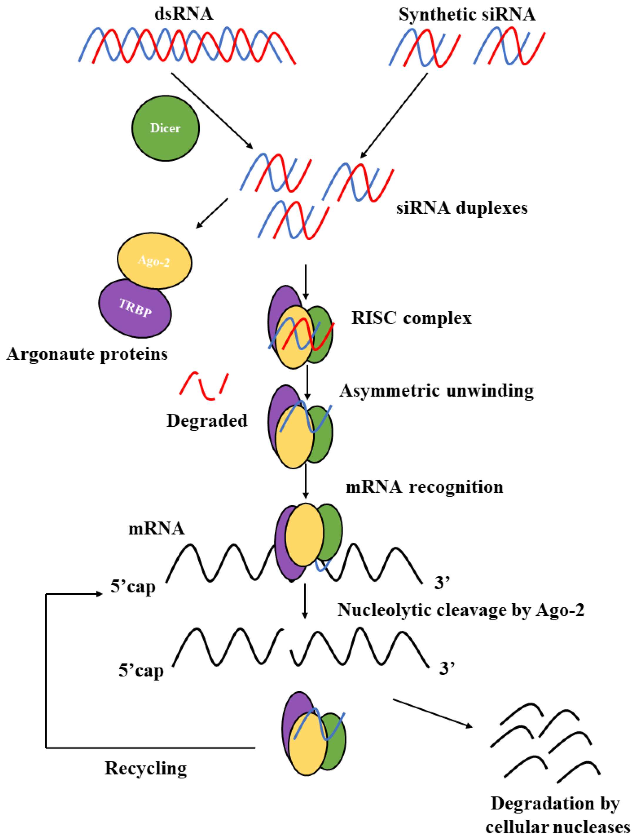 Pharmaceutics 15 01237 g005