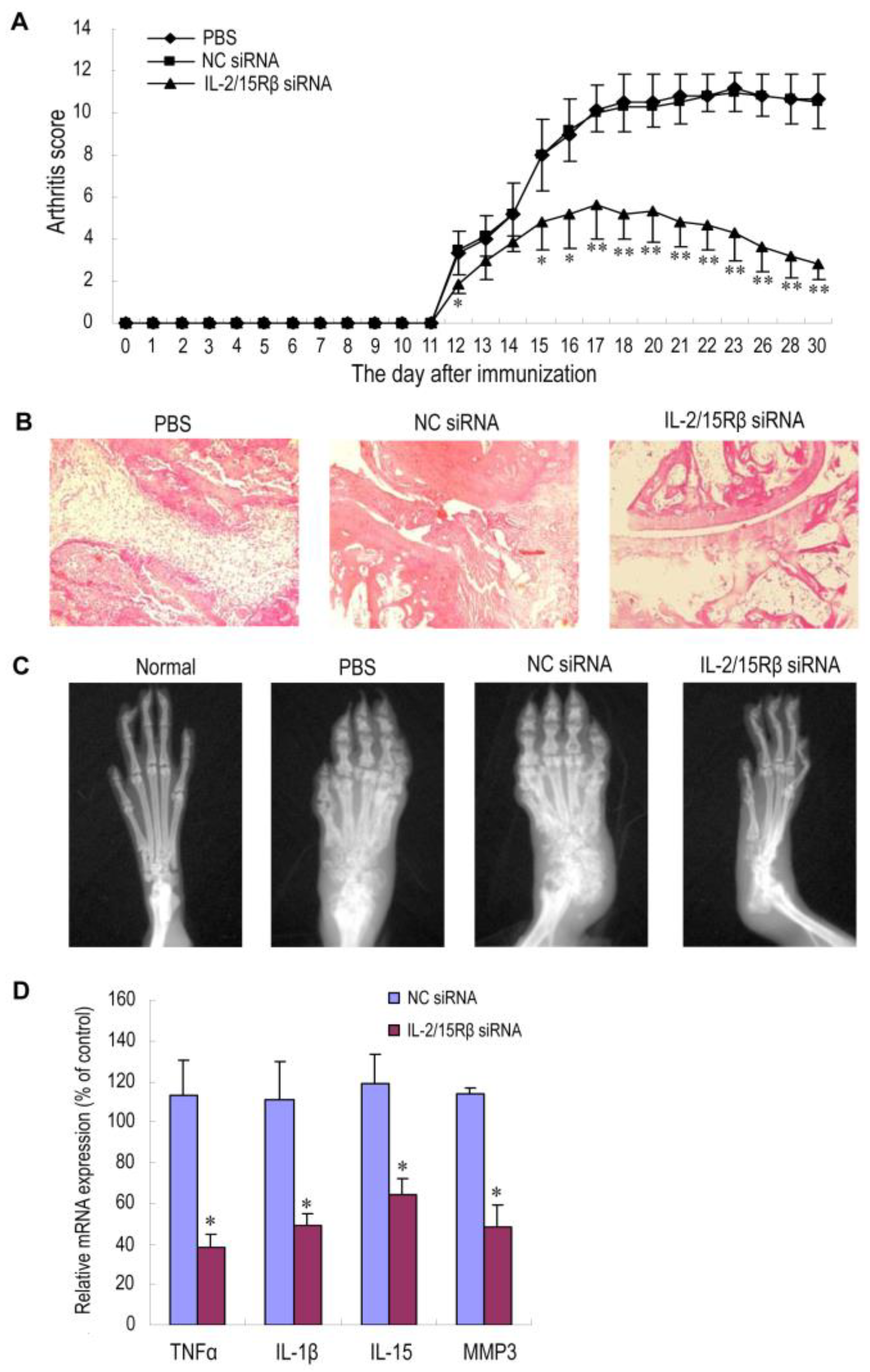 Pharmaceutics 15 01237 g007