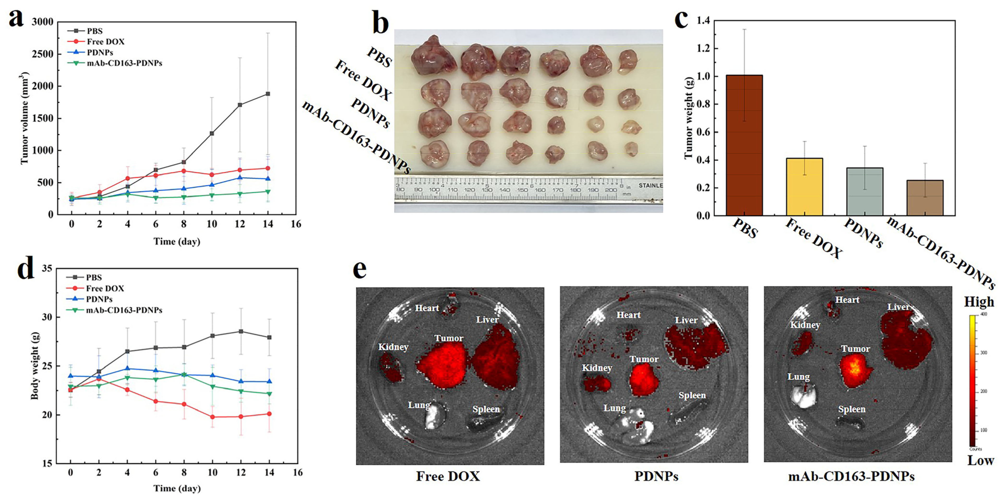 Pharmaceutics 15 01241 g007 Pharmaceutics 15 01241 g007