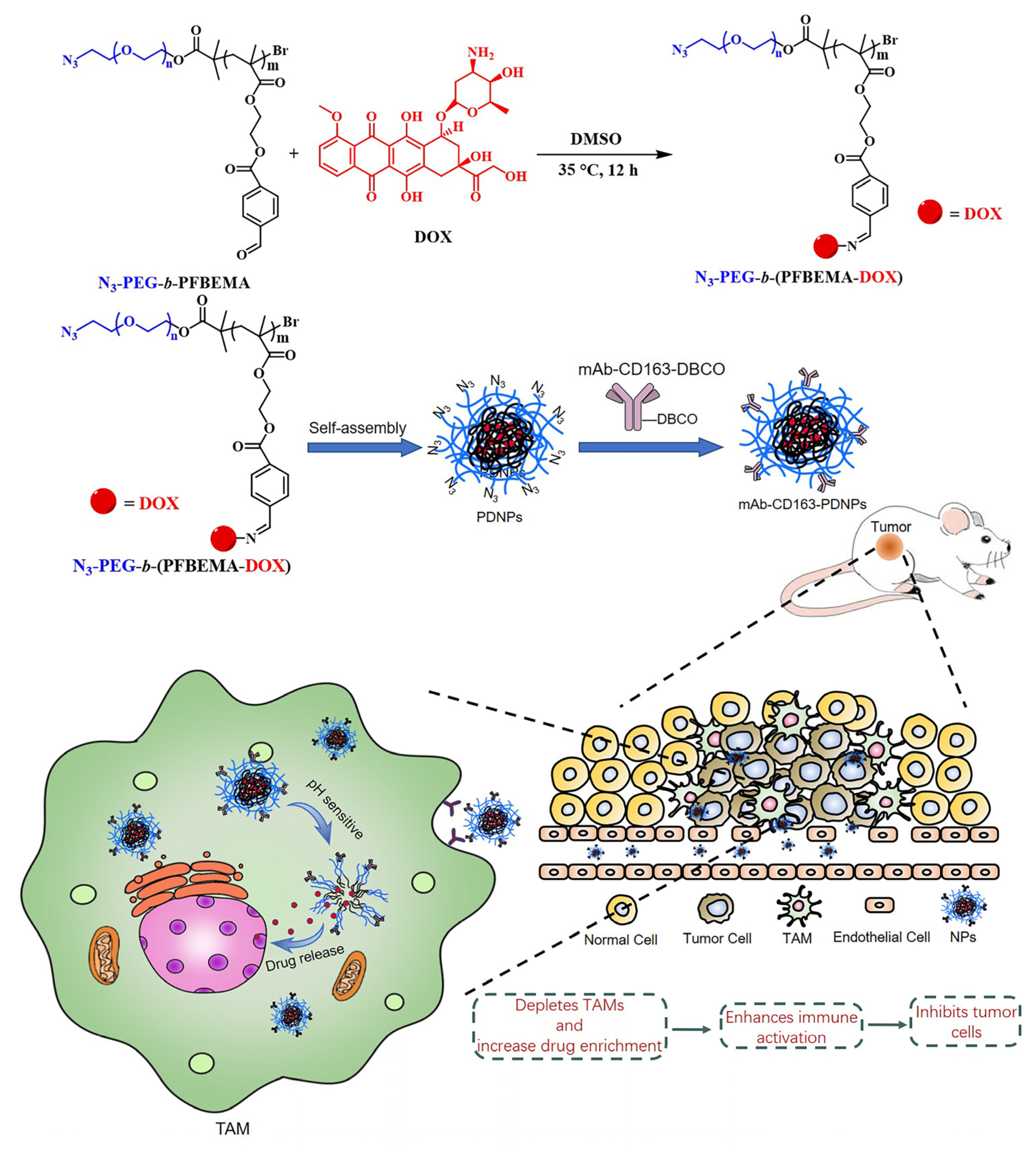 Pharmaceutics 15 01241 sch001 Pharmaceutics 15 01241 sch001
