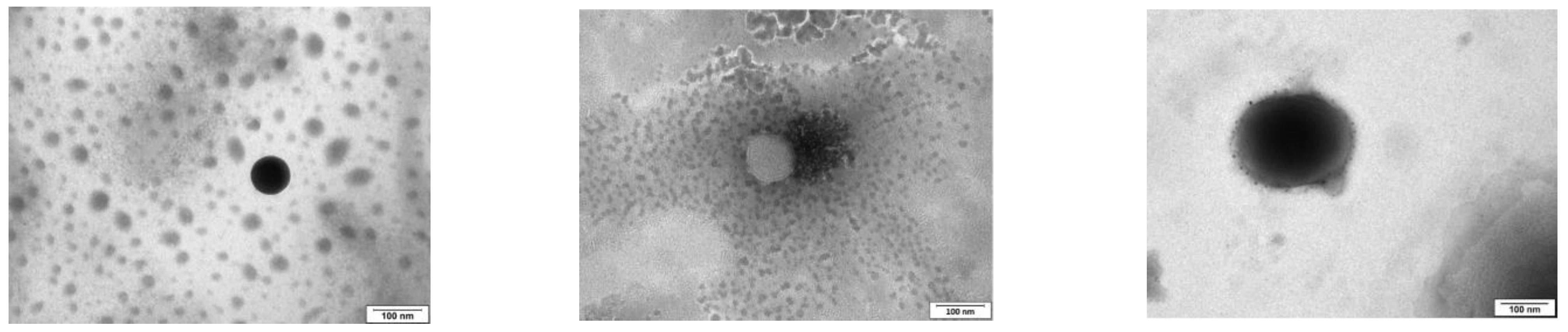 Pharmaceutics 15 01247 g001 Pharmaceutics 15 01247 g001
