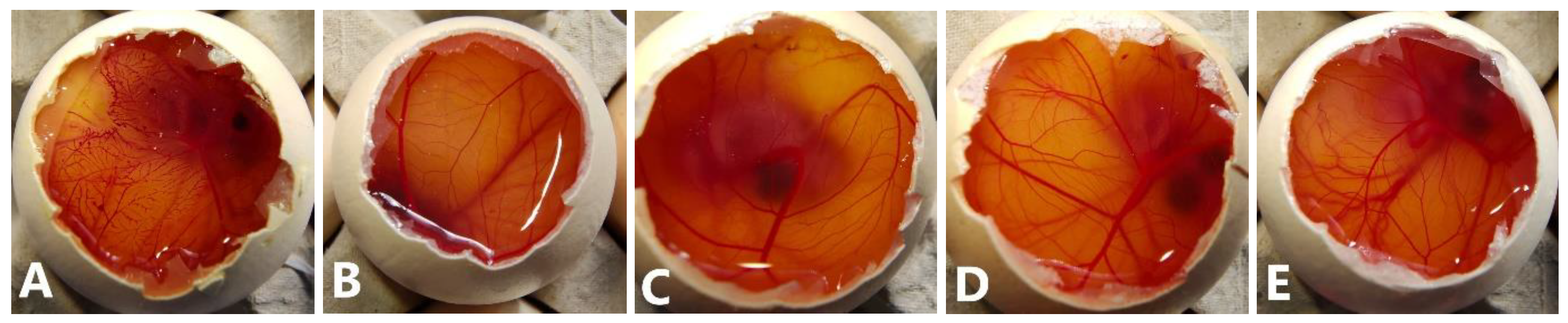 Pharmaceutics 15 01247 g003 Pharmaceutics 15 01247 g003