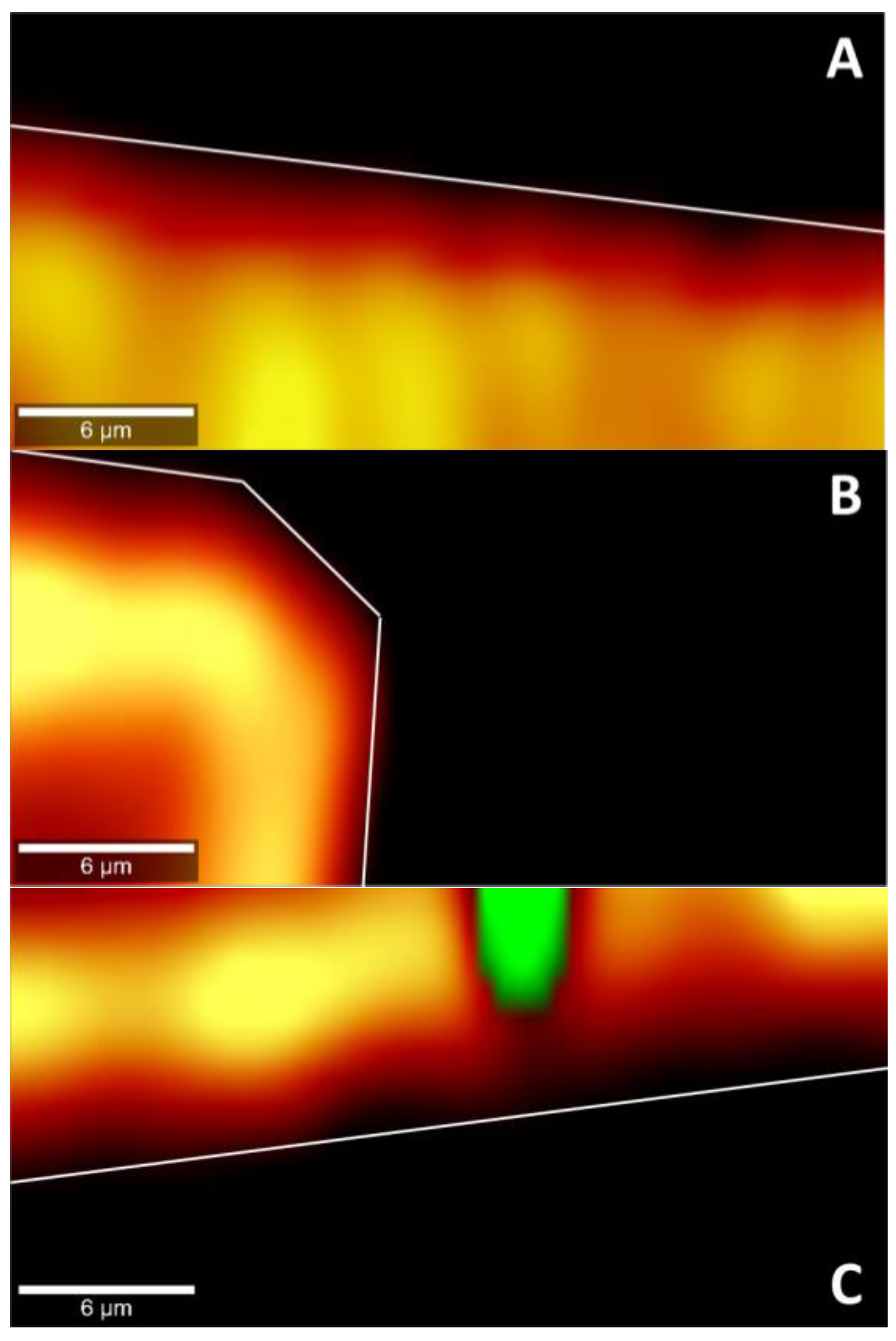 Pharmaceutics 15 01247 g008 Pharmaceutics 15 01247 g008