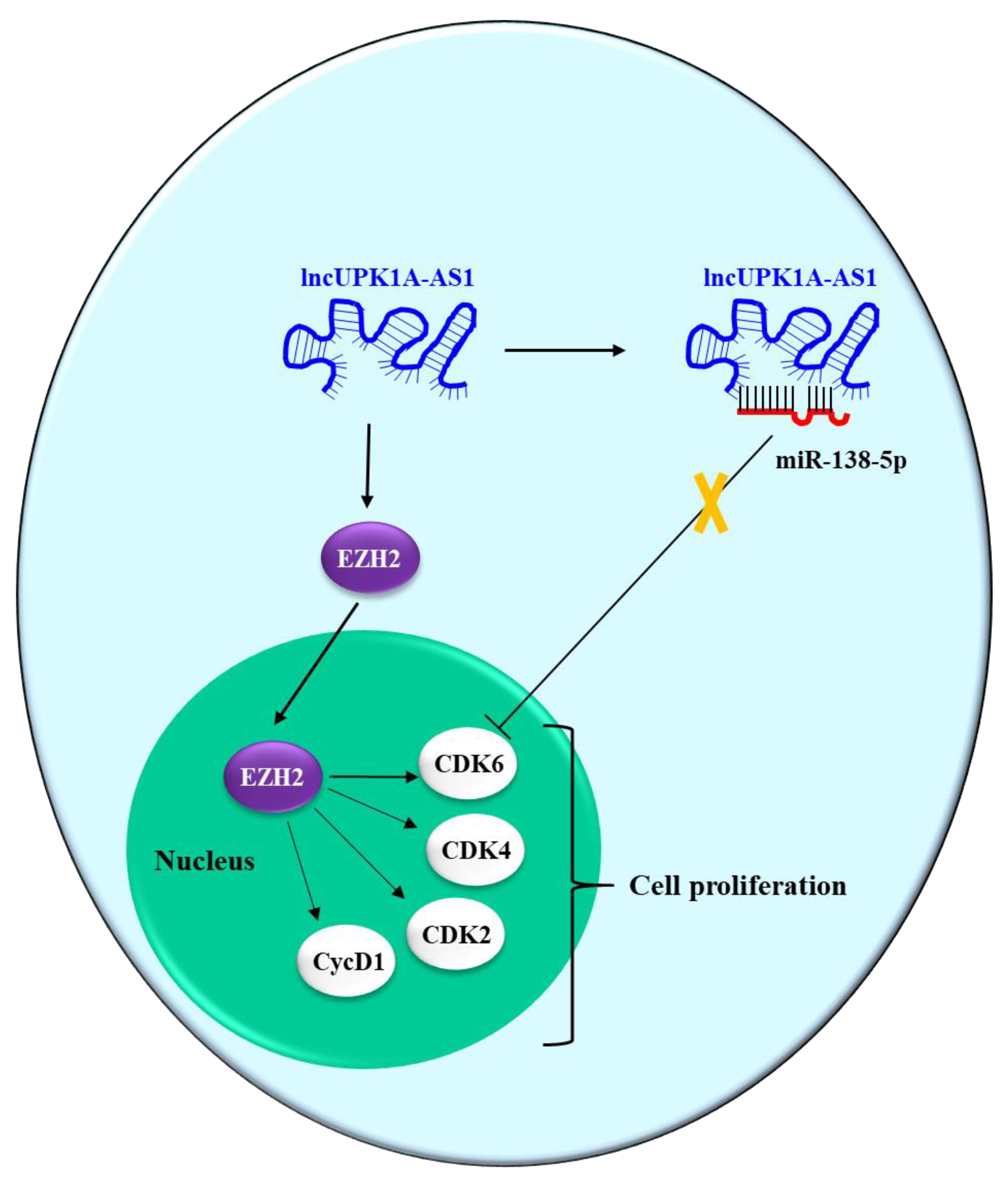 Pharmaceutics 15 01249 g005