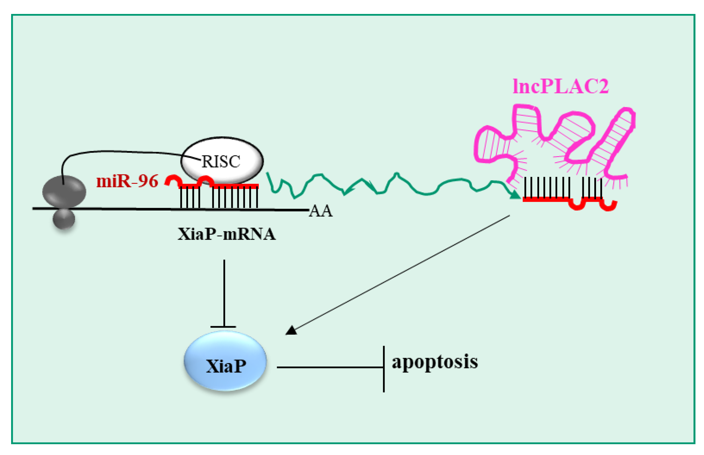 Pharmaceutics 15 01249 g007