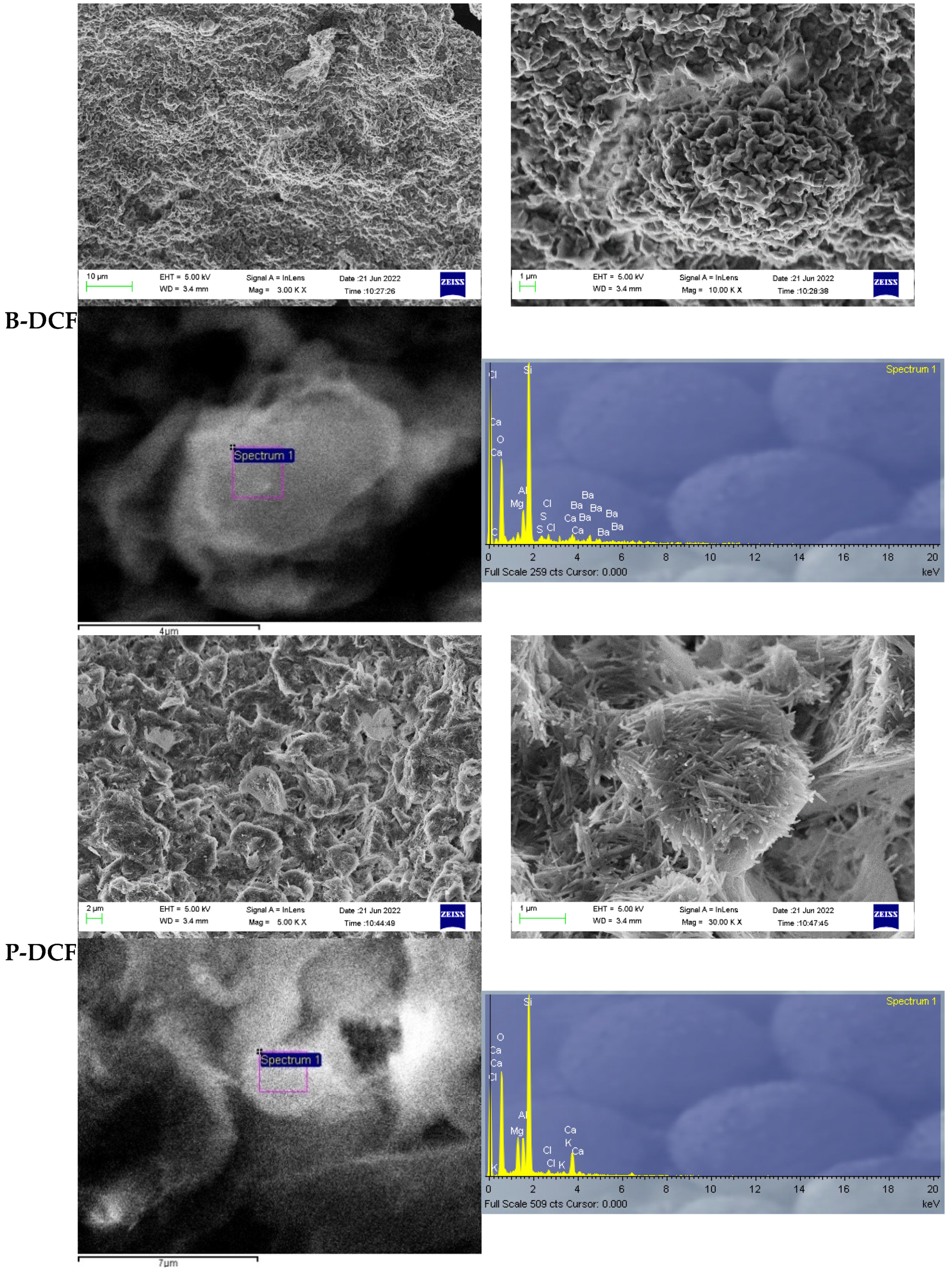 Pharmaceutics 15 01253 g003a Pharmaceutics 15 01253 g003a