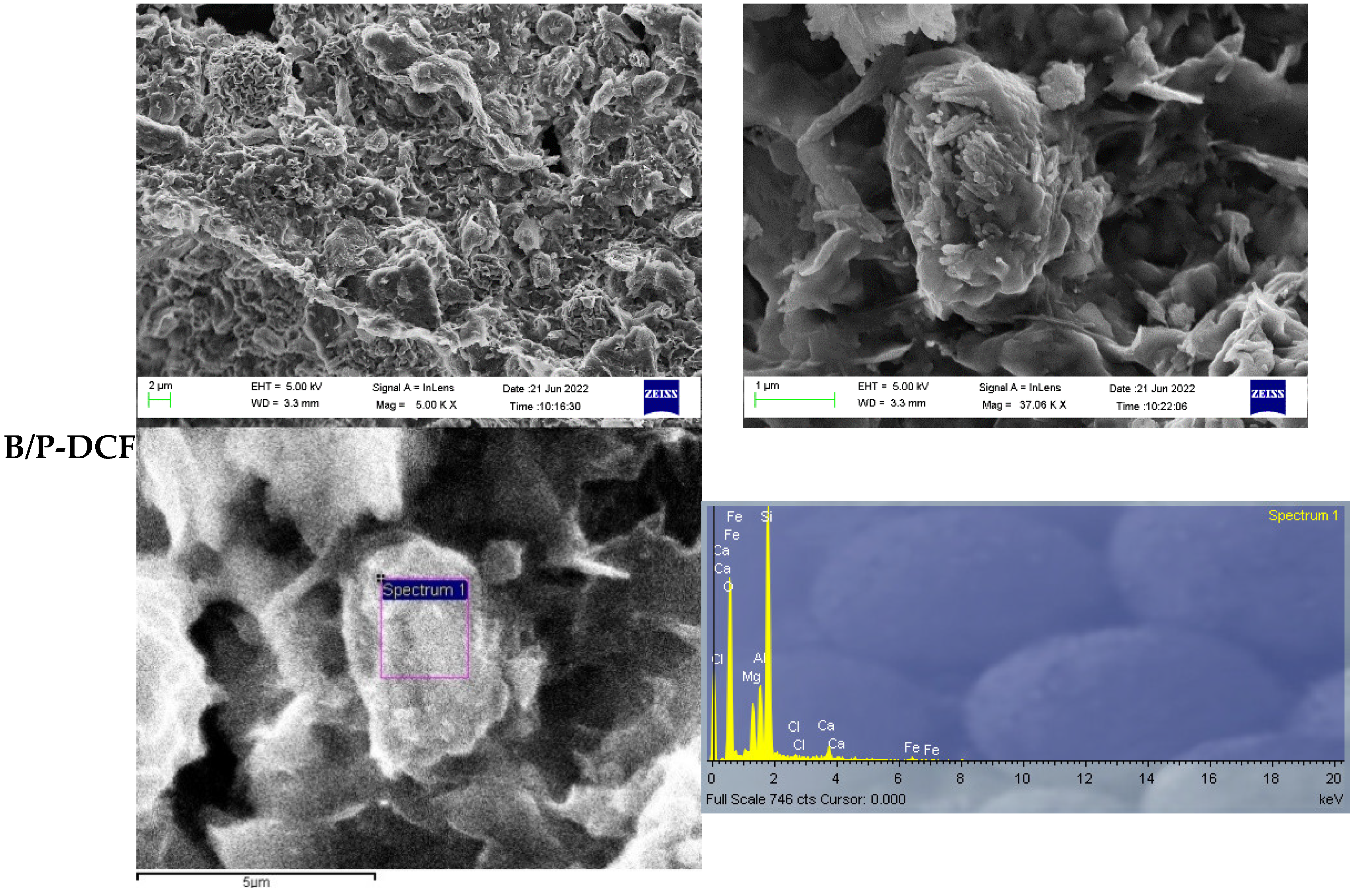 Pharmaceutics 15 01253 g003b Pharmaceutics 15 01253 g003b