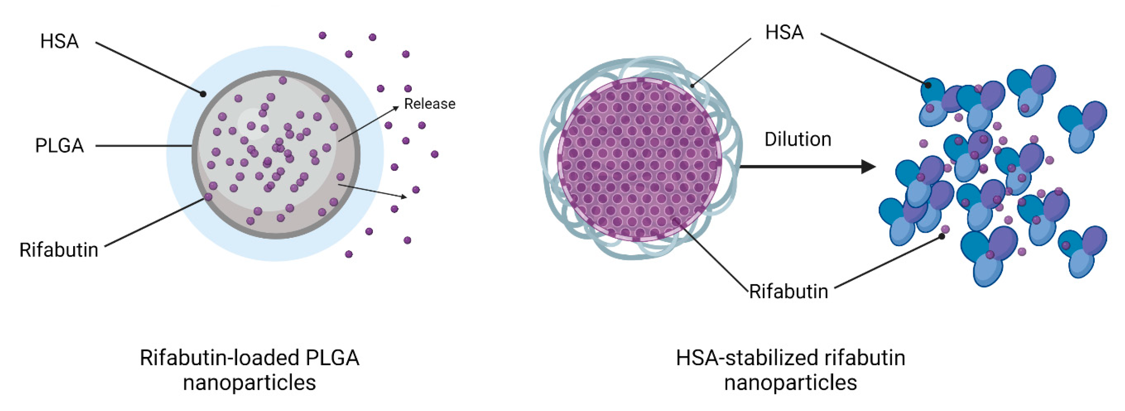 Pharmaceutics 15 01258 g002