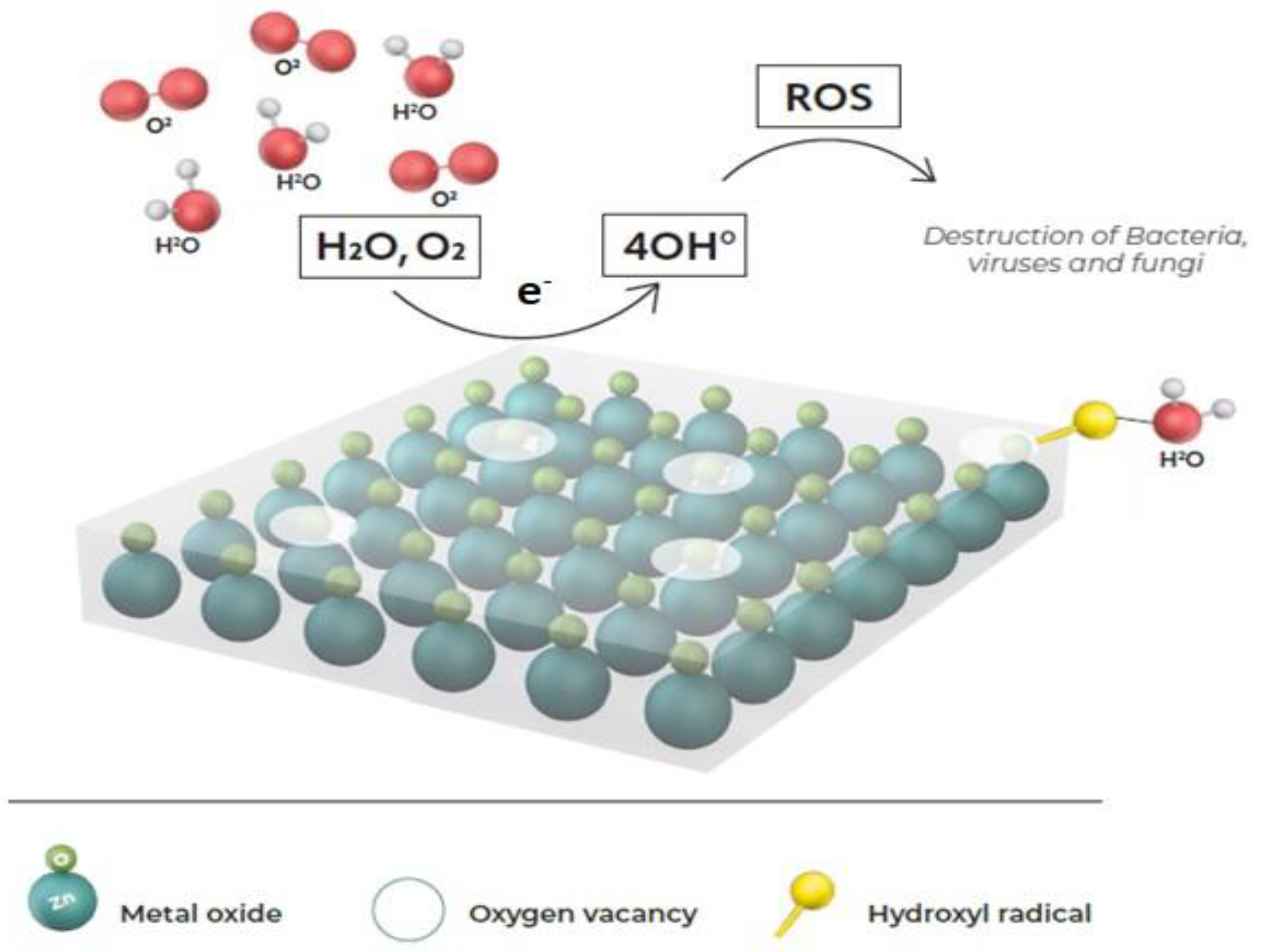 Pharmaceutics 15 01261 g001 Pharmaceutics 15 01261 g001