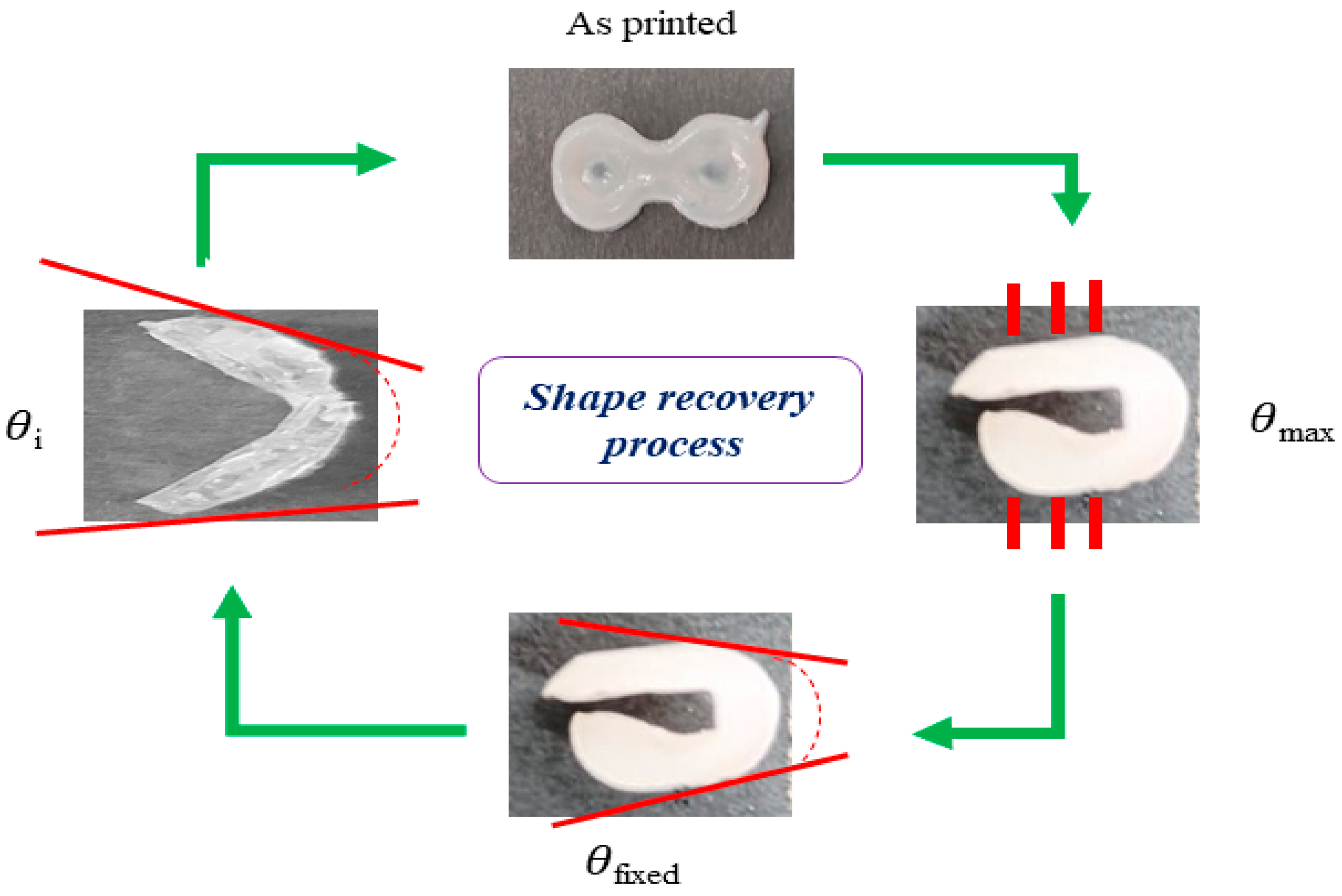Pharmaceutics 15 01266 g001
