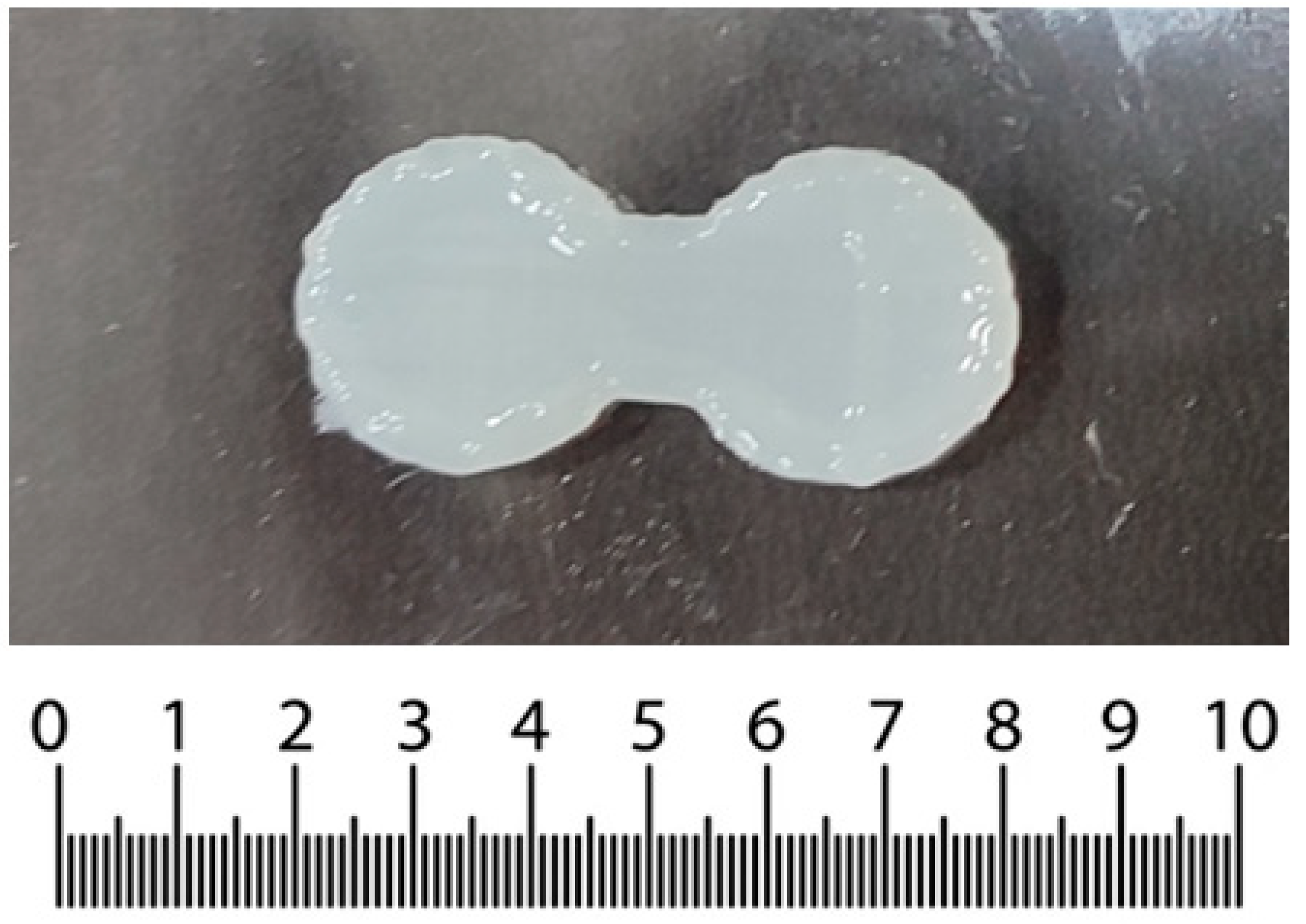 Pharmaceutics 15 01266 g002