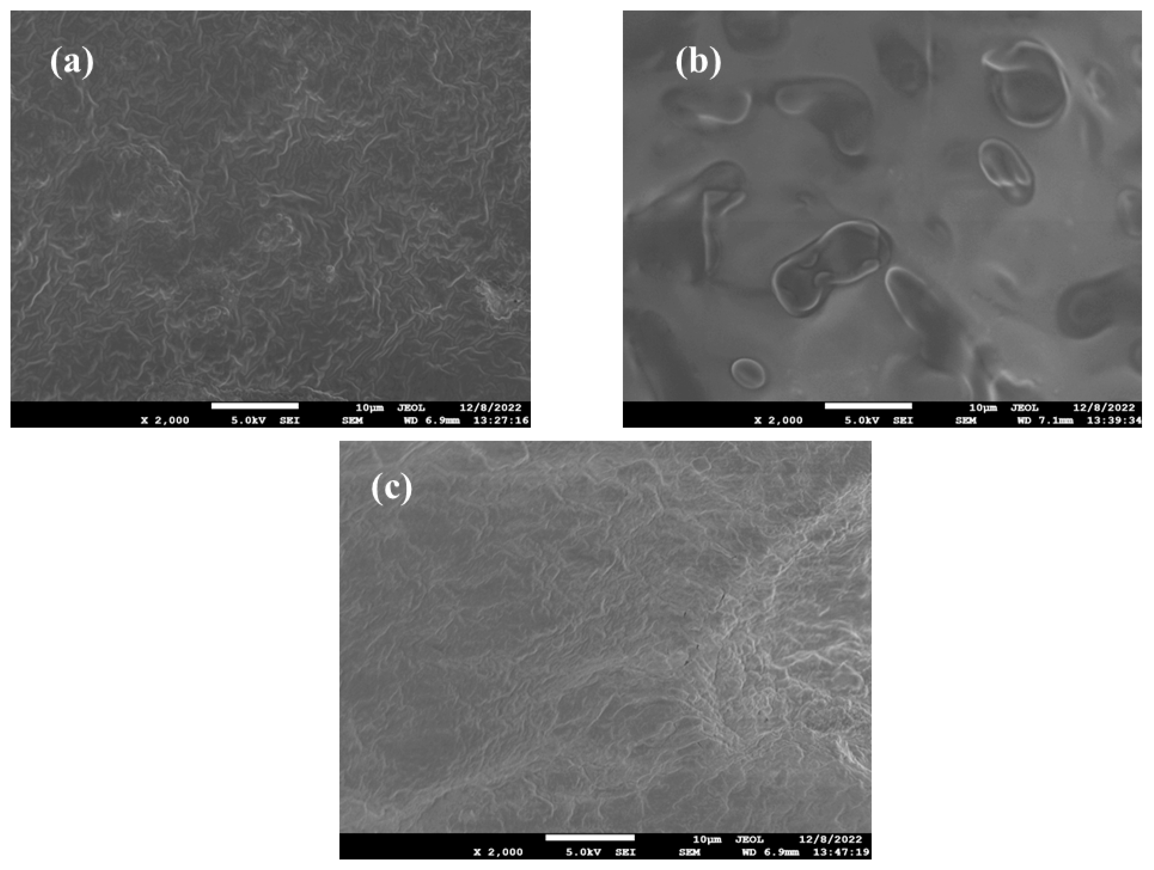 Pharmaceutics 15 01266 g007