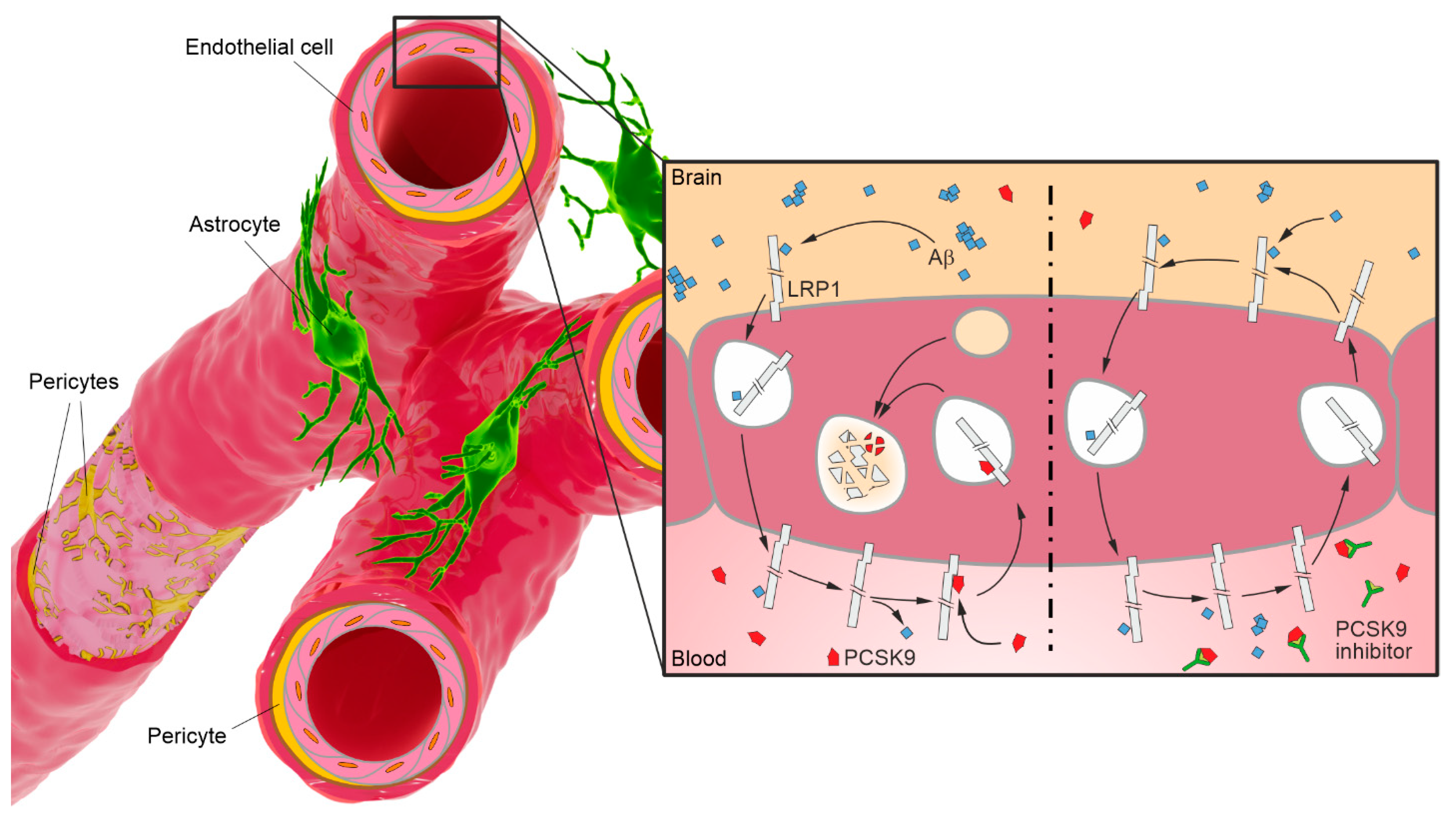 Pharmaceutics 15 01268 g002 Pharmaceutics 15 01268 g002