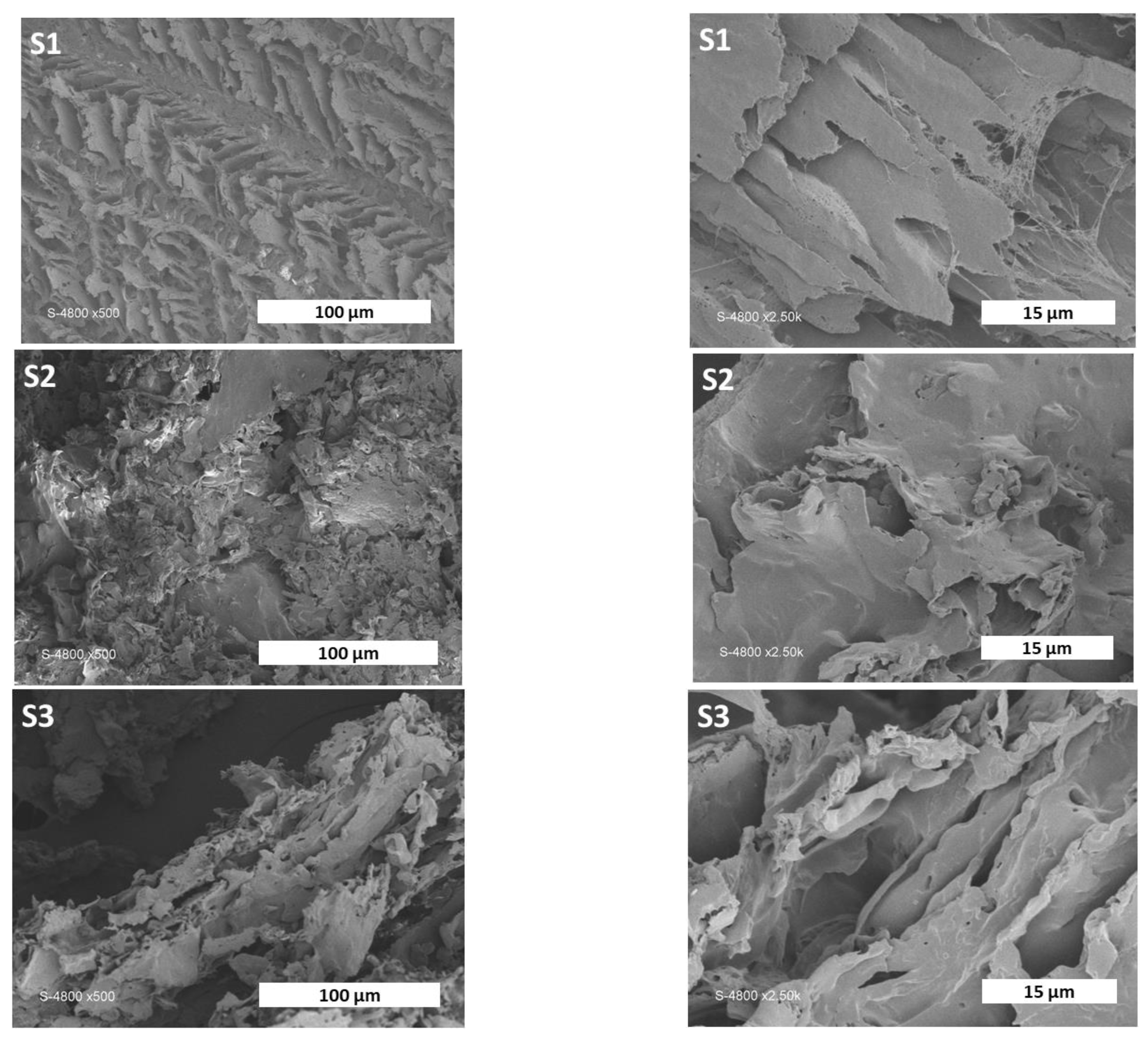 Pharmaceutics 15 01270 g005a