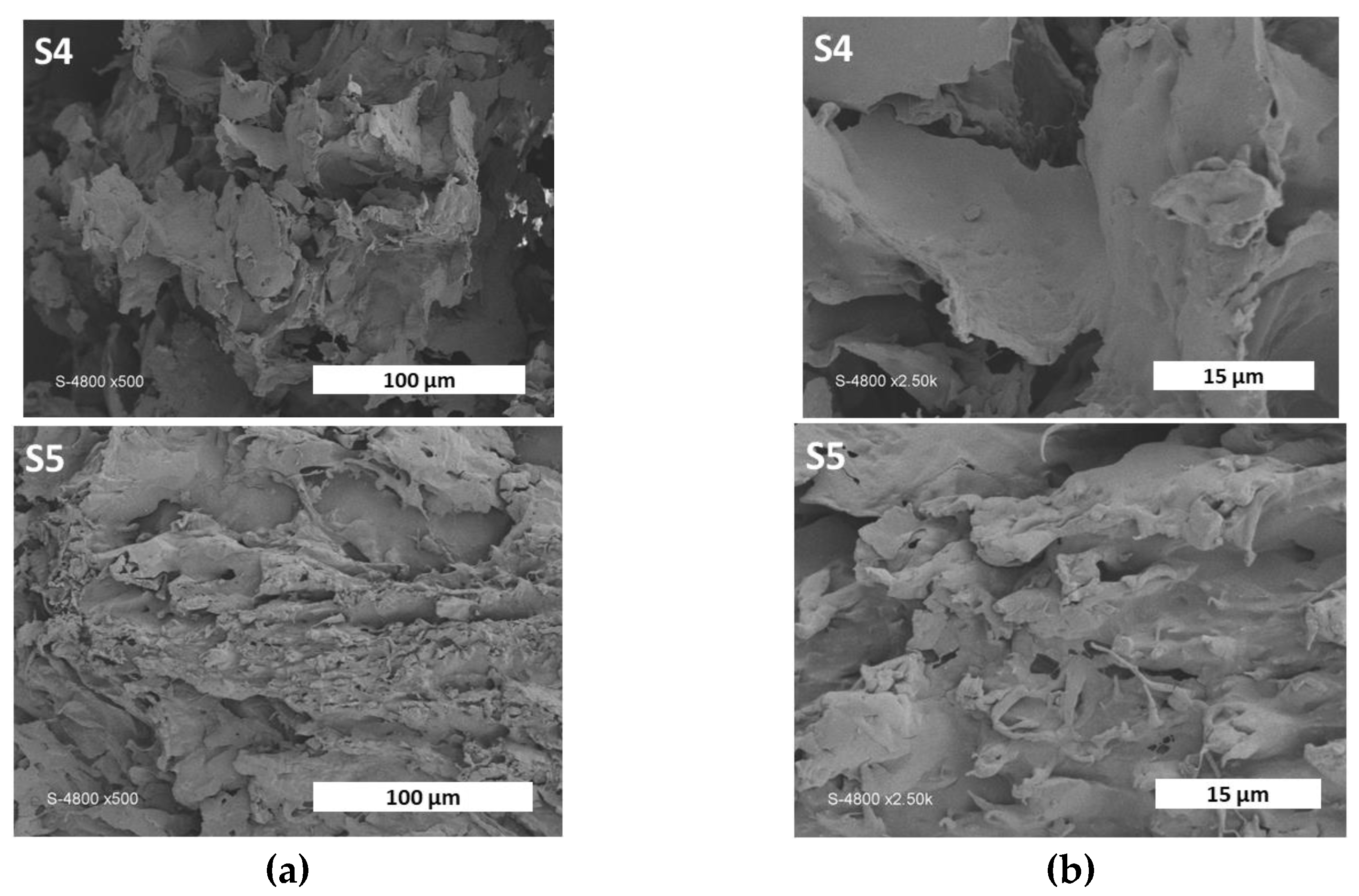Pharmaceutics 15 01270 g005b