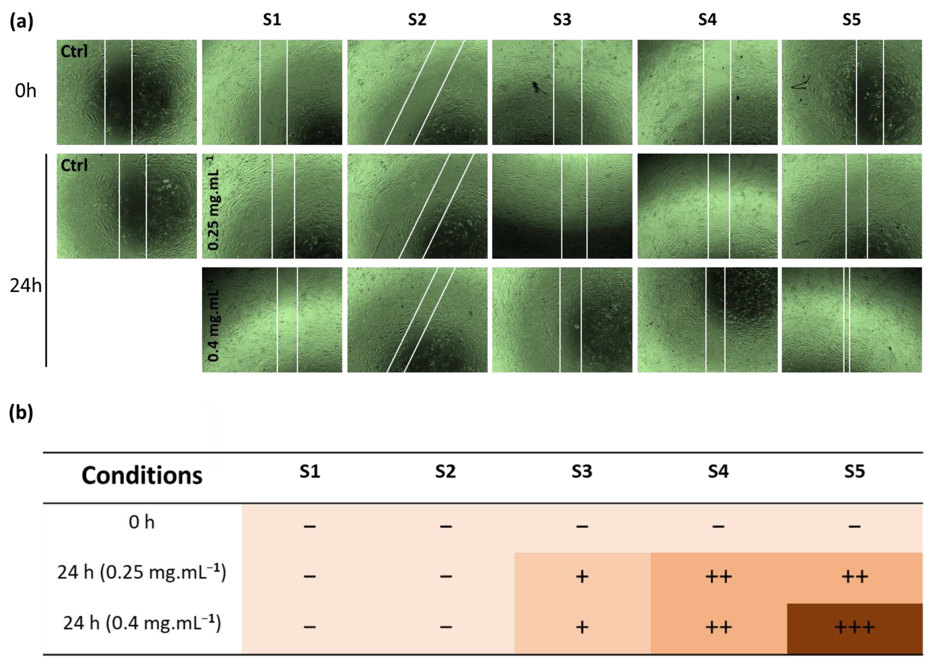 Pharmaceutics 15 01270 g007