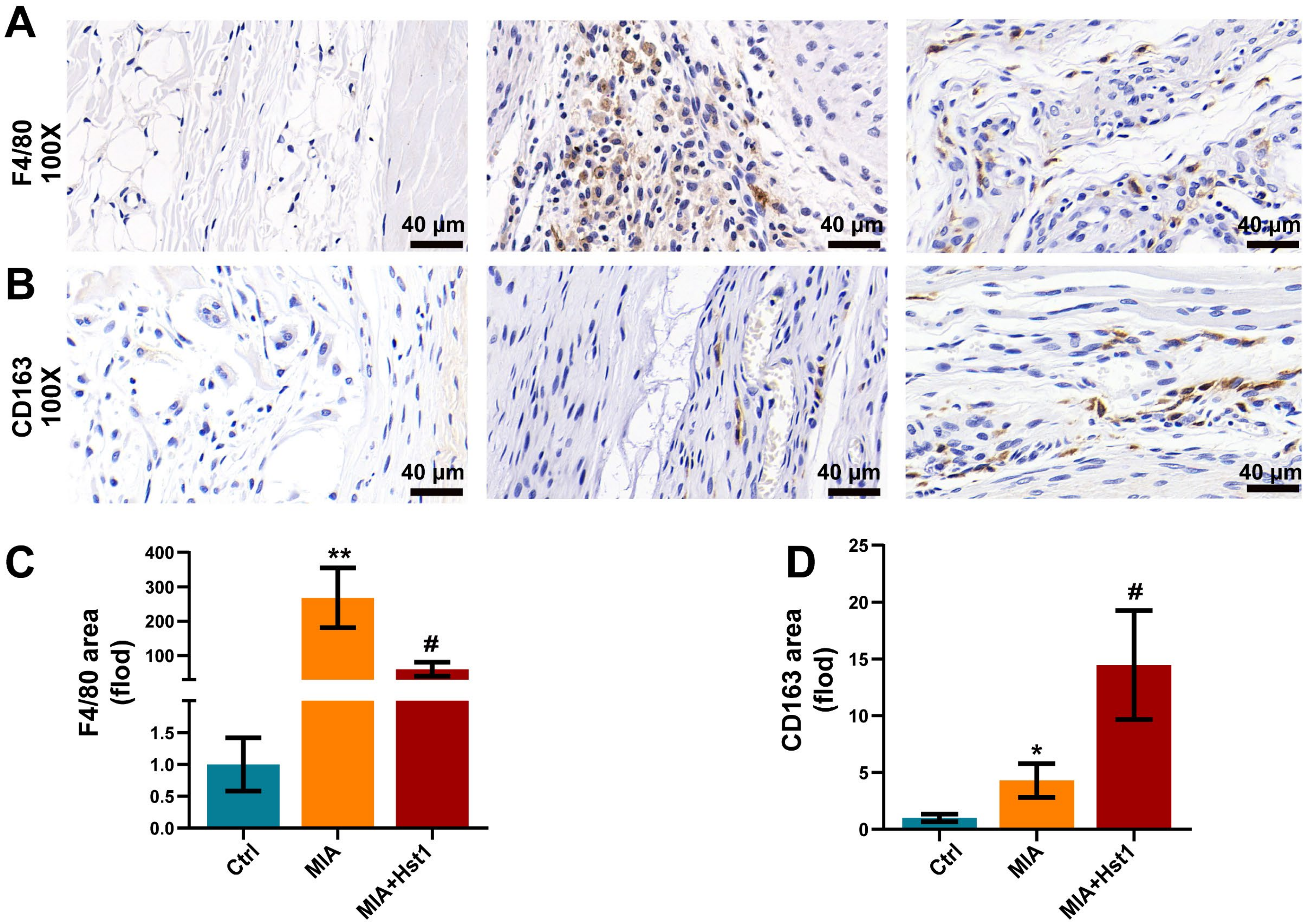 Pharmaceutics 15 01272 g002