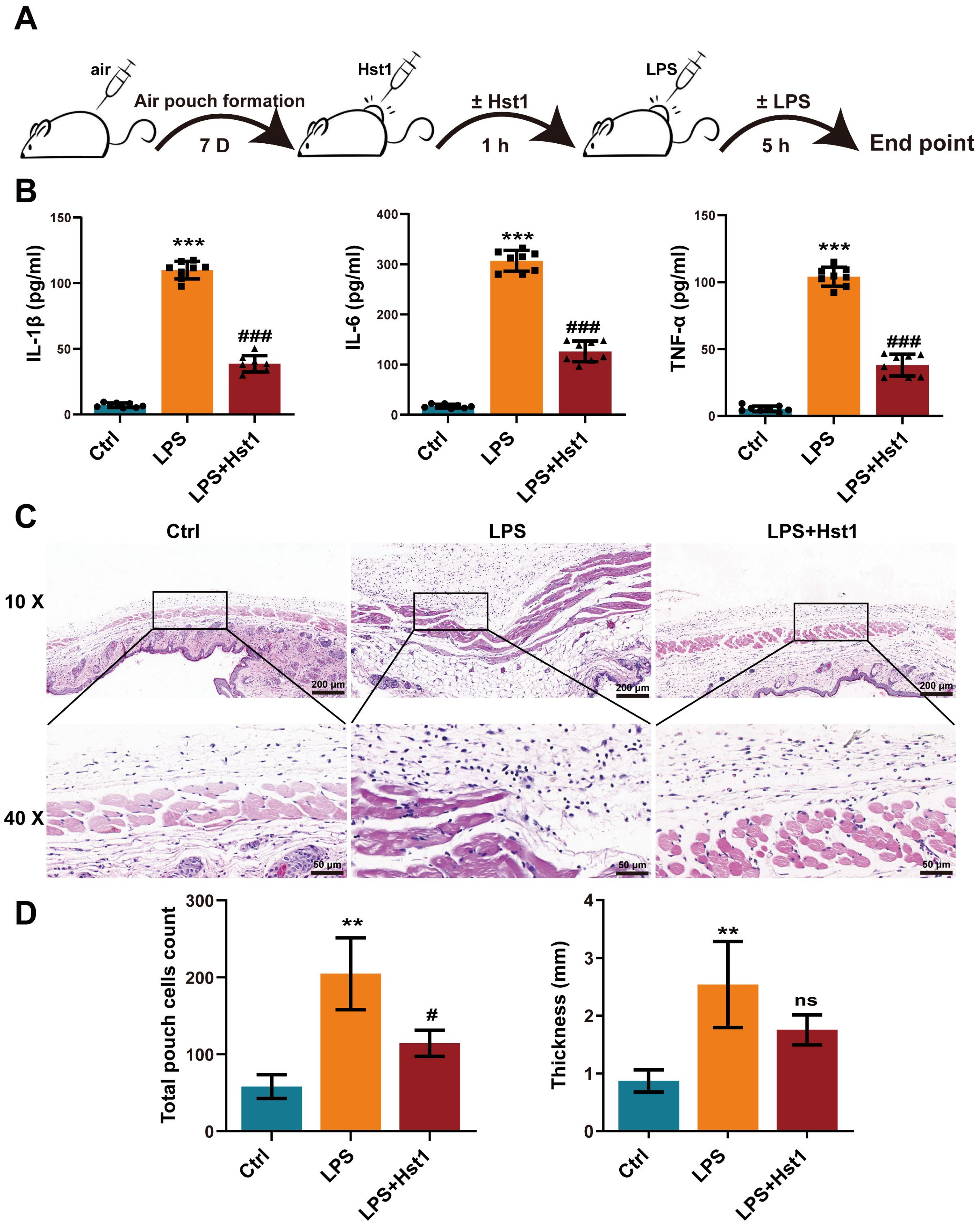 Pharmaceutics 15 01272 g003