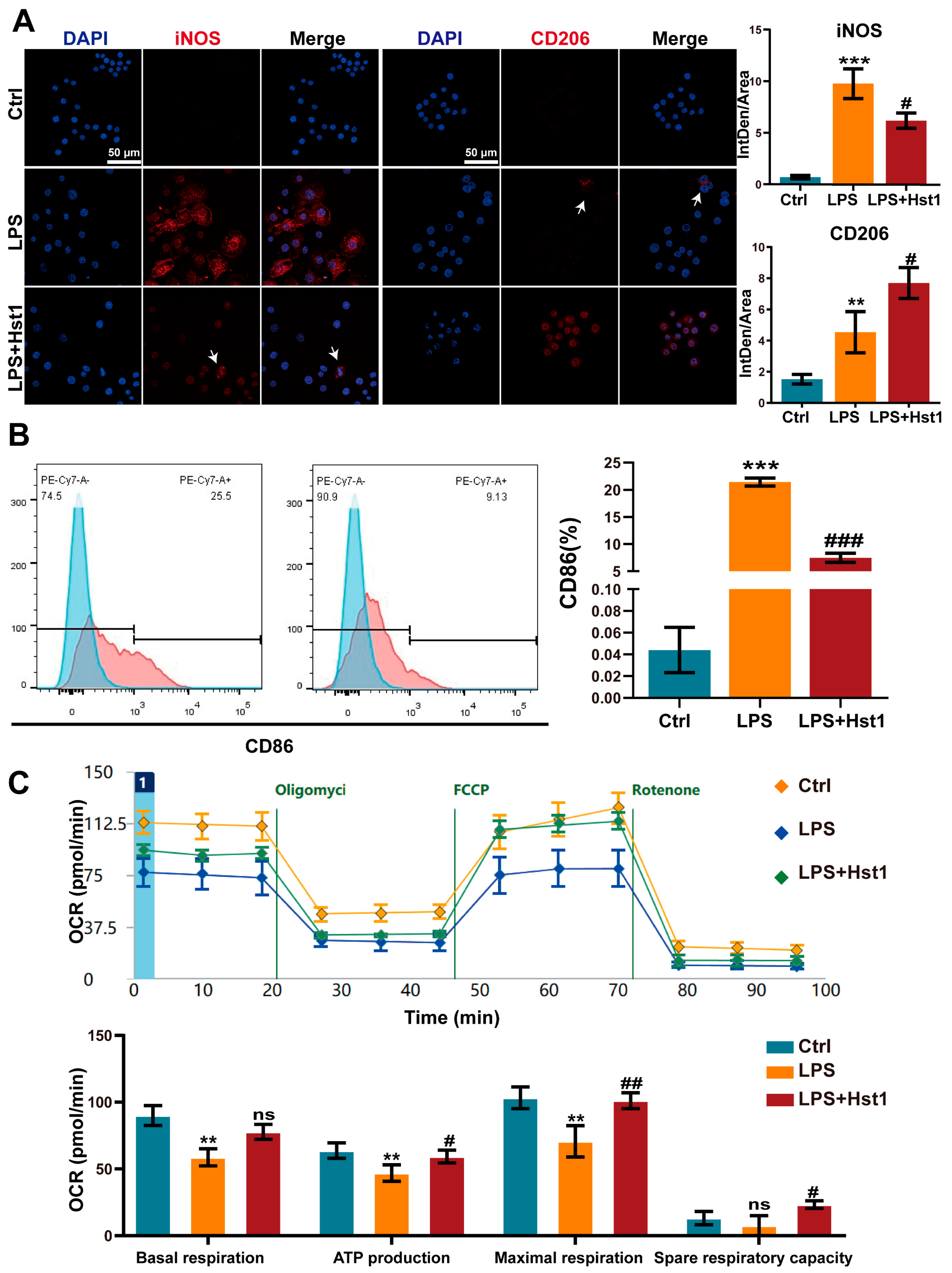 Pharmaceutics 15 01272 g005