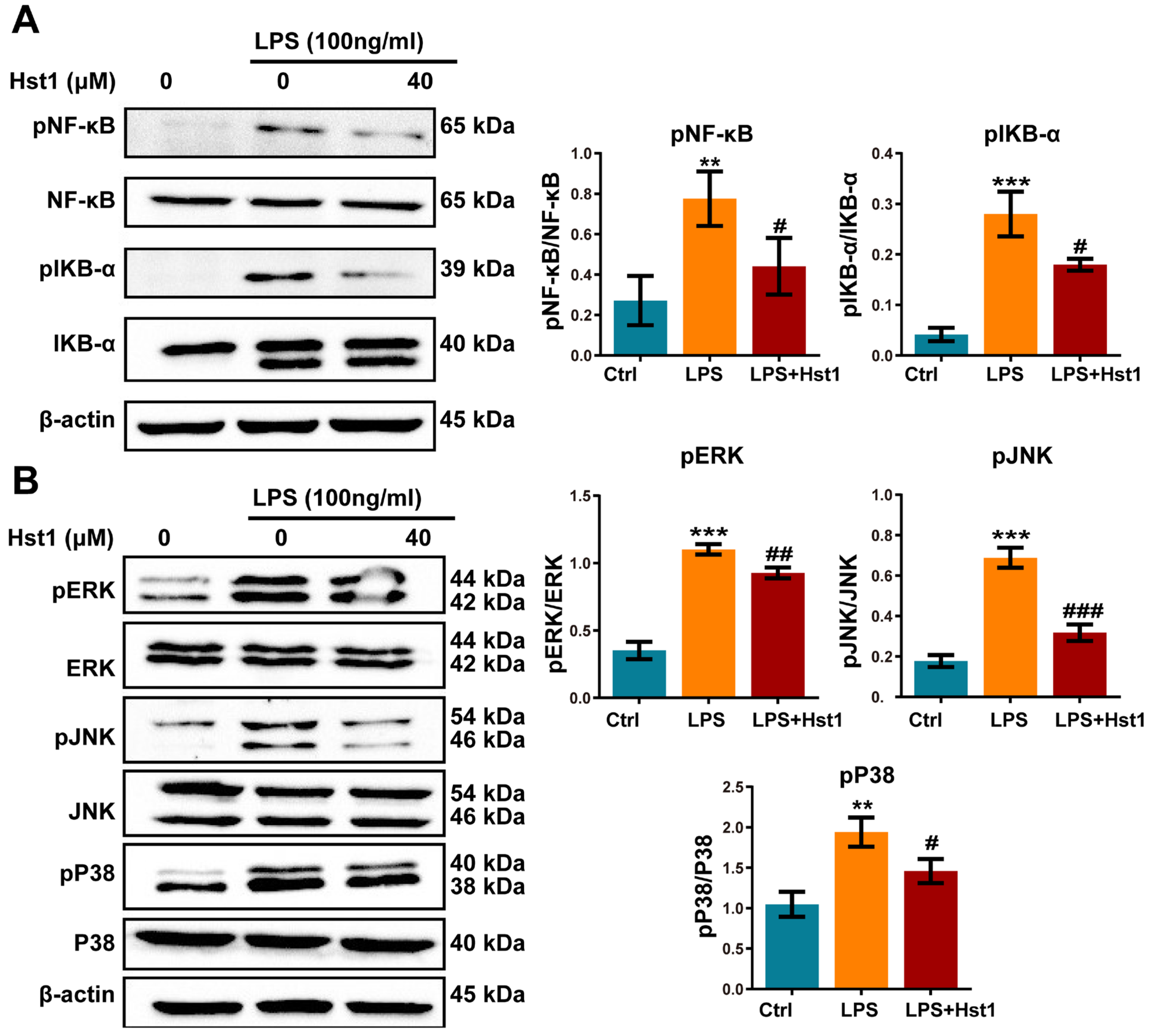 Pharmaceutics 15 01272 g007