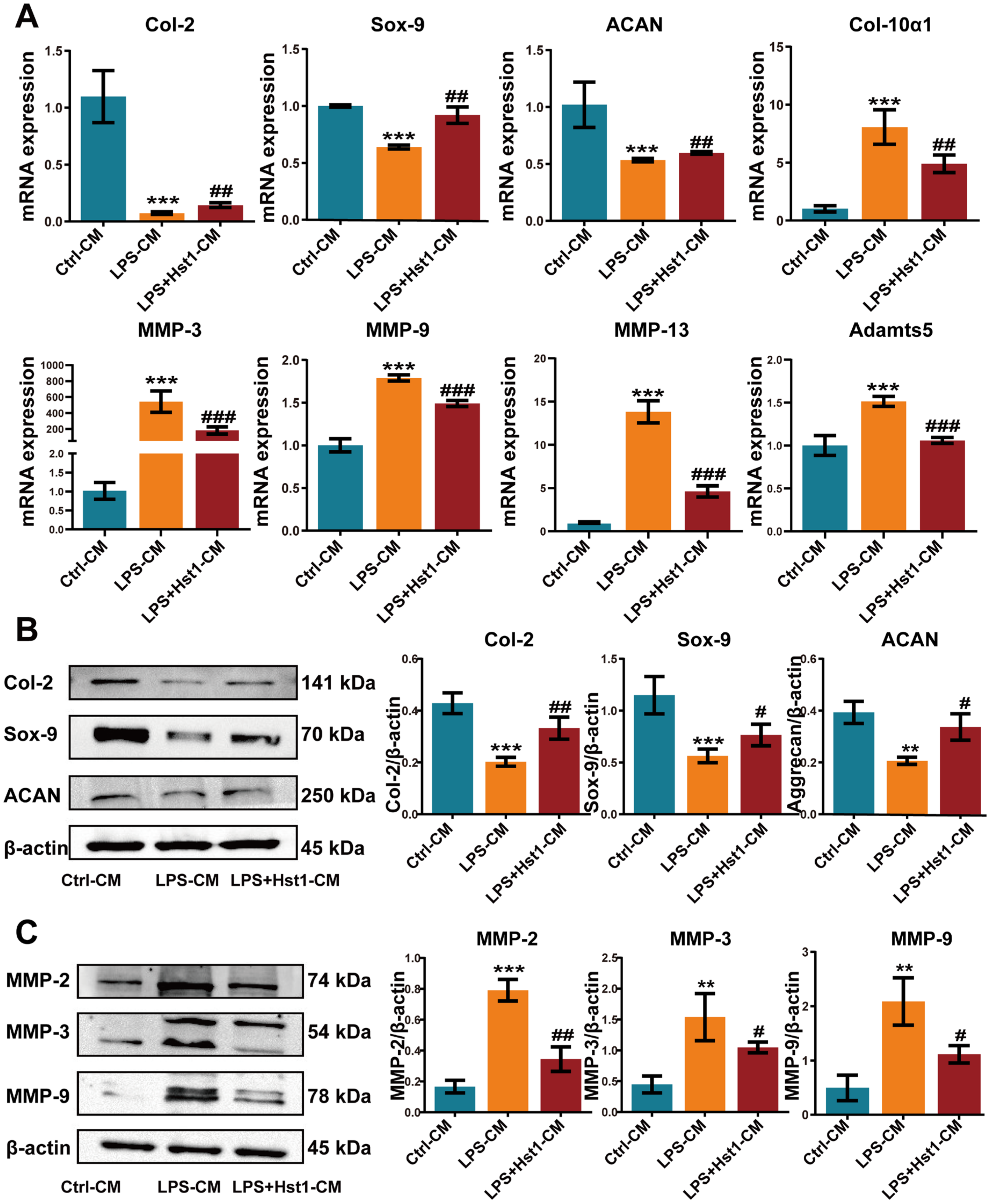 Pharmaceutics 15 01272 g009