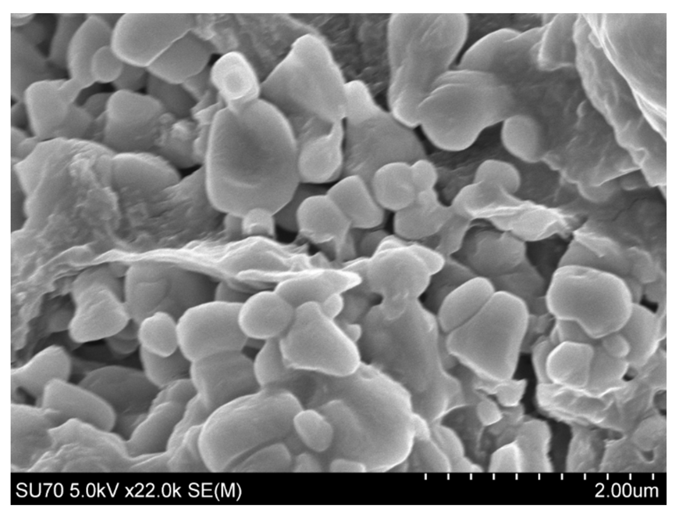 Pharmaceutics 15 01277 g004 Pharmaceutics 15 01277 g004