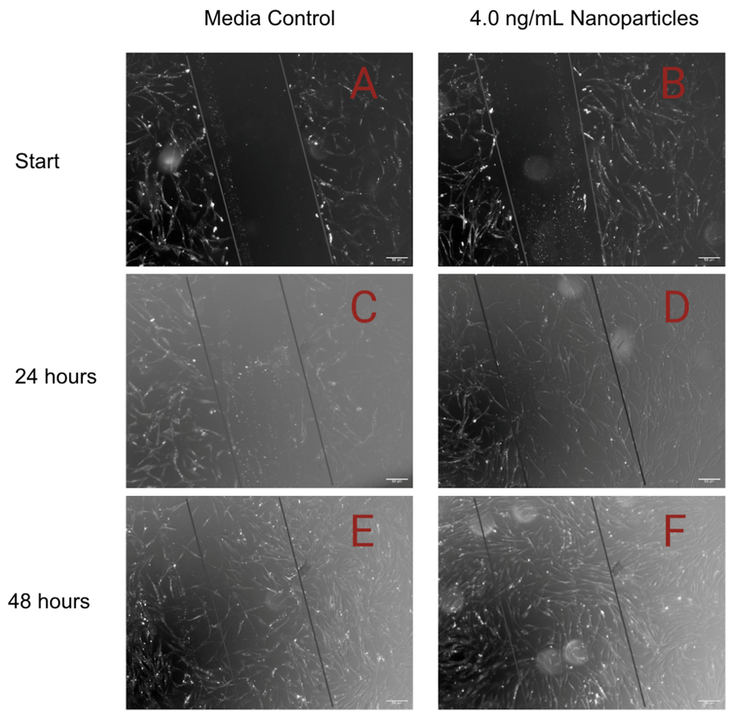 Pharmaceutics 15 01277 g008 Pharmaceutics 15 01277 g008