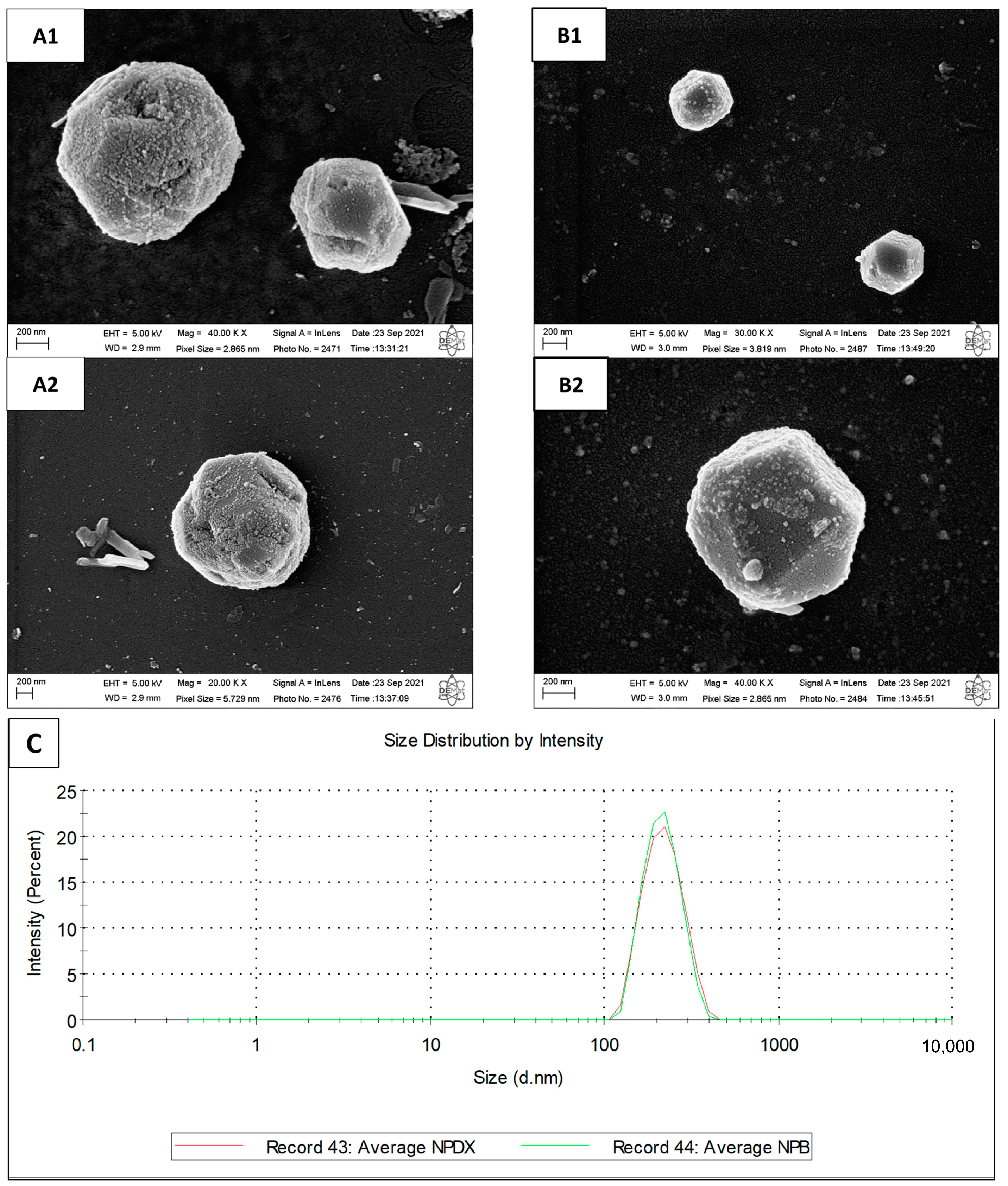 Pharmaceutics 15 01285 g009