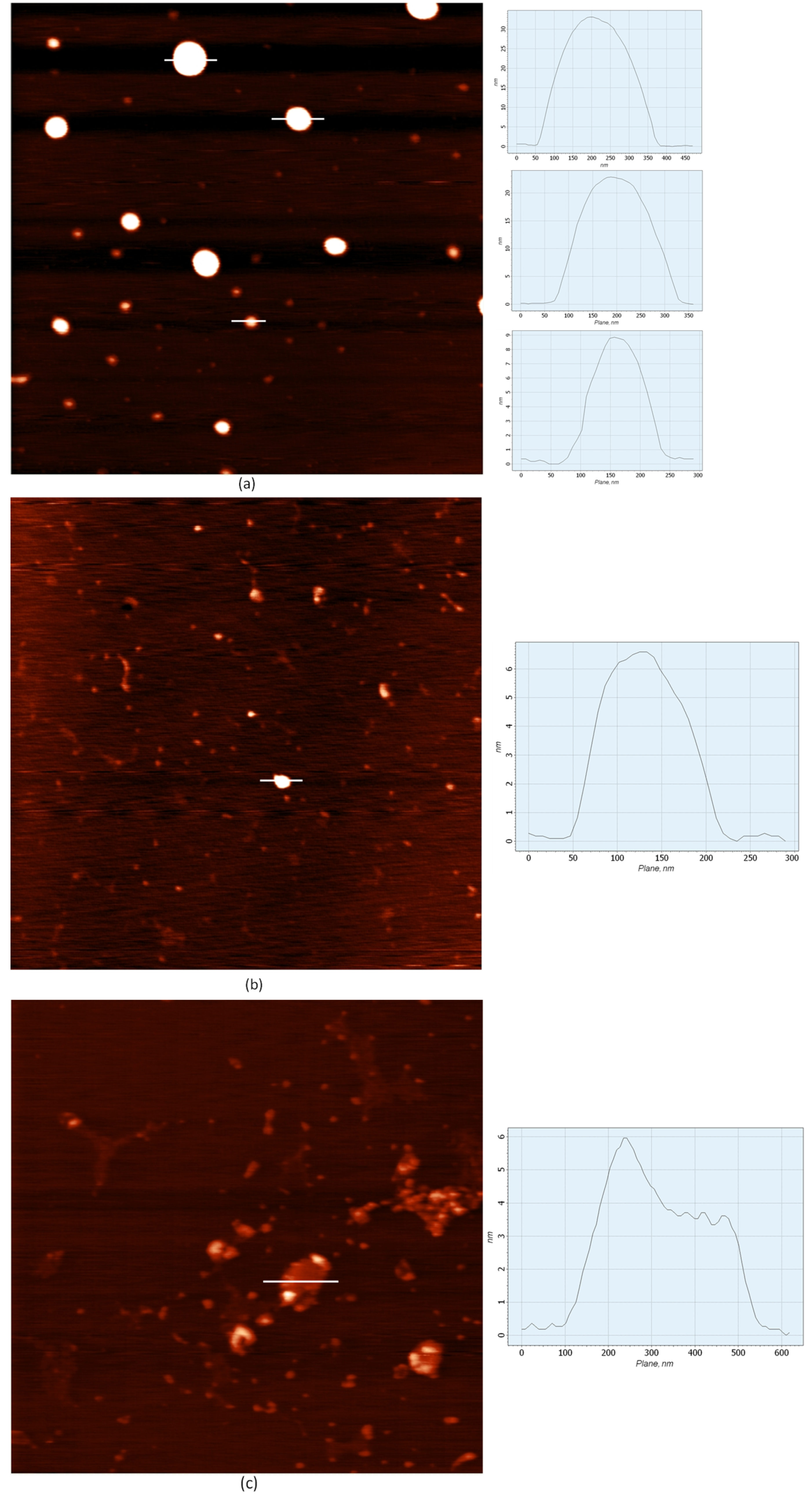 Pharmaceutics 15 01289 g002